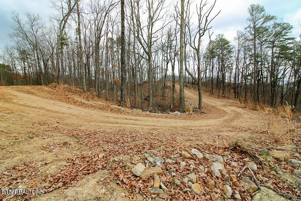 Tract A Mountain Ash Way Sevierville TN 37876