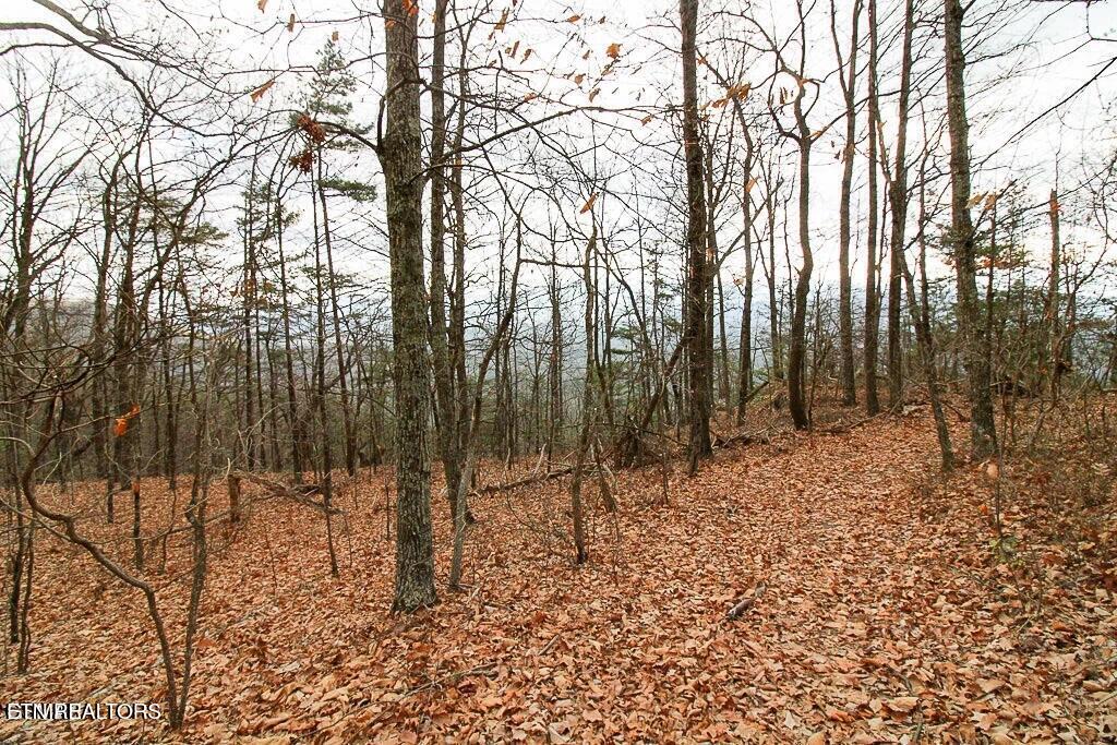 Tract A Mountain Ash Way Sevierville TN 37876