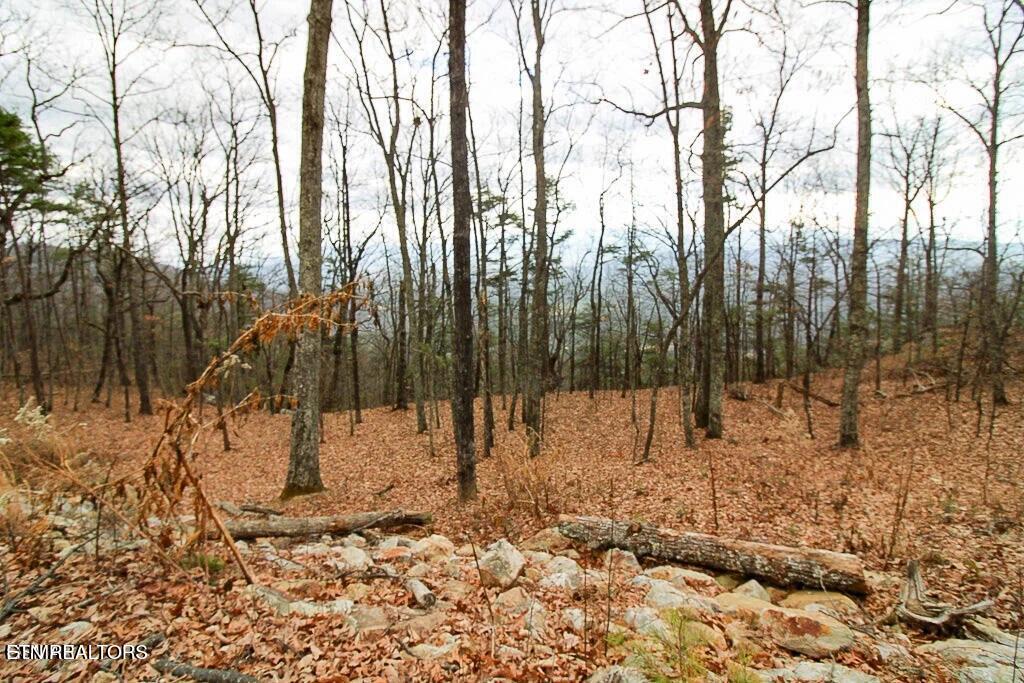 Tract A Mountain Ash Way Sevierville TN 37876