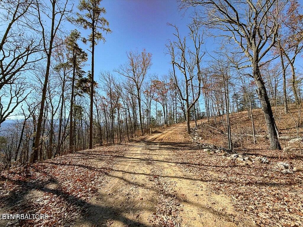 Tract A Mountain Ash Way Sevierville TN 37876