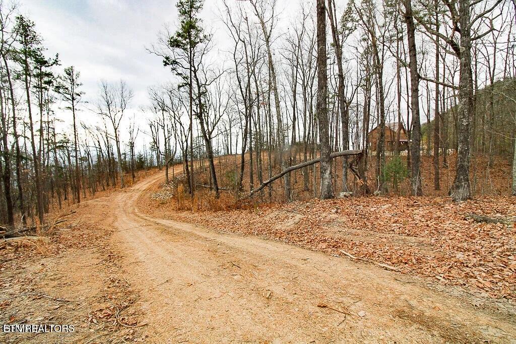 Tract A Mountain Ash Way Sevierville TN 37876