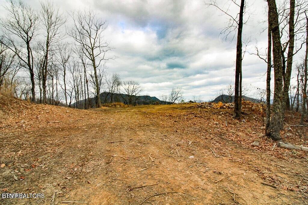 Tract A Mountain Ash Way Sevierville TN 37876