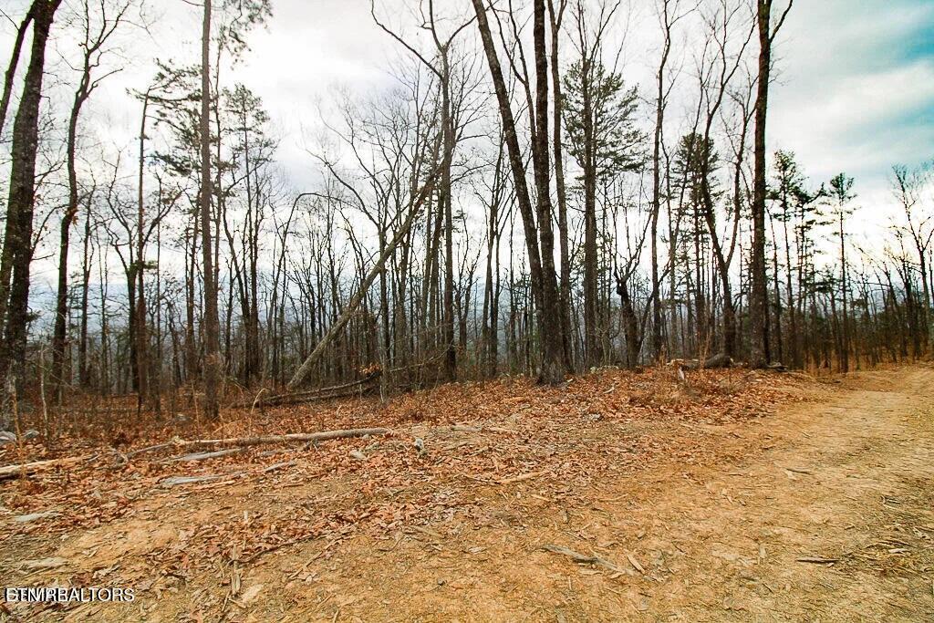 Tract A Mountain Ash Way Sevierville TN 37876