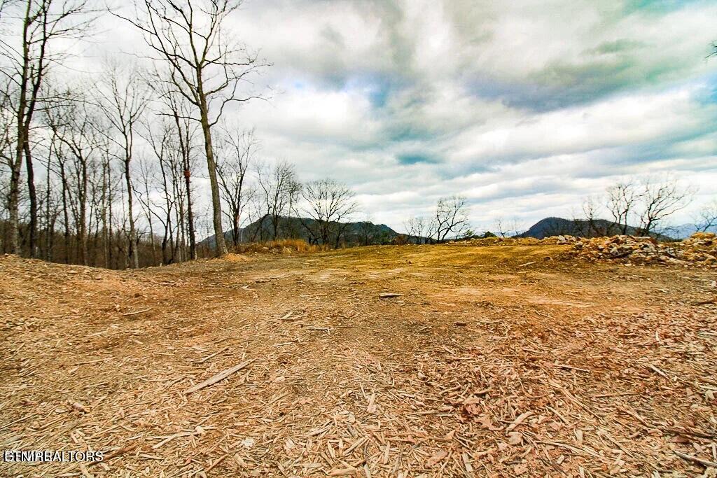 Tract A Mountain Ash Way Sevierville TN 37876