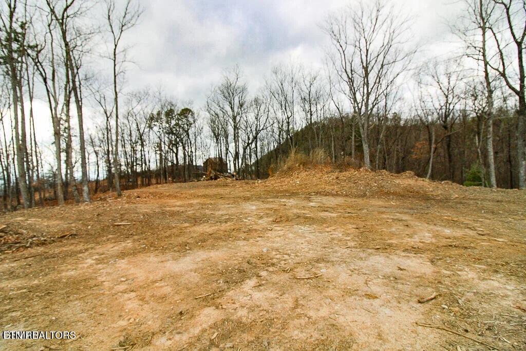 Tract A Mountain Ash Way Sevierville TN 37876