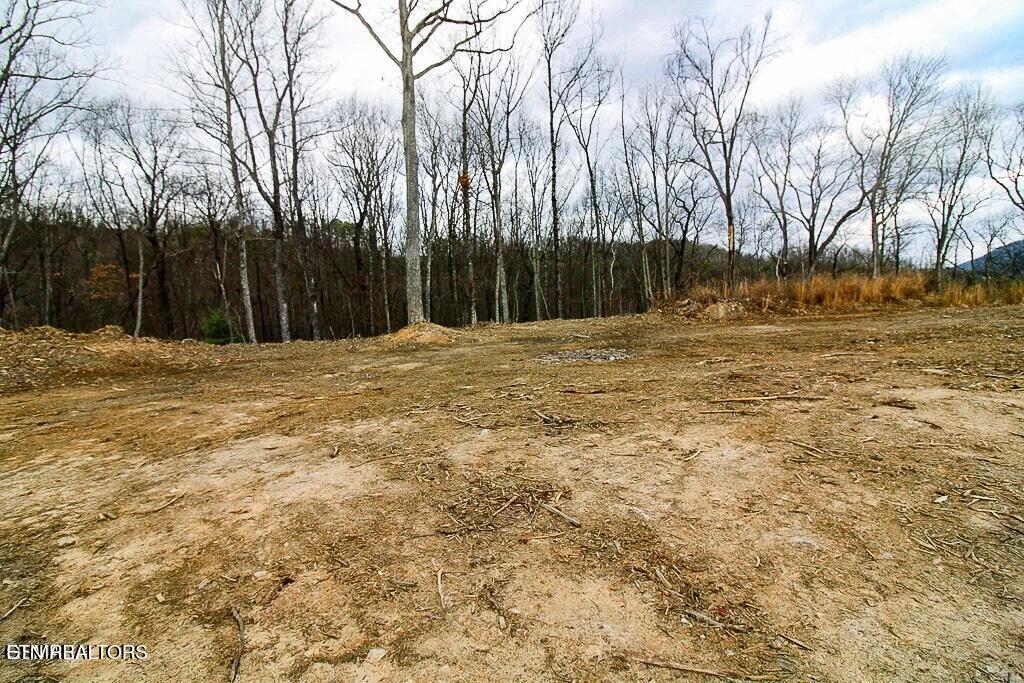 Tract A Mountain Ash Way Sevierville TN 37876