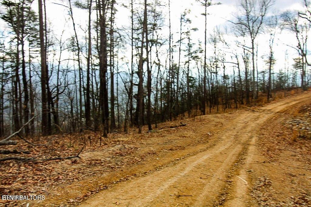 Tract A Mountain Ash Way Sevierville TN 37876