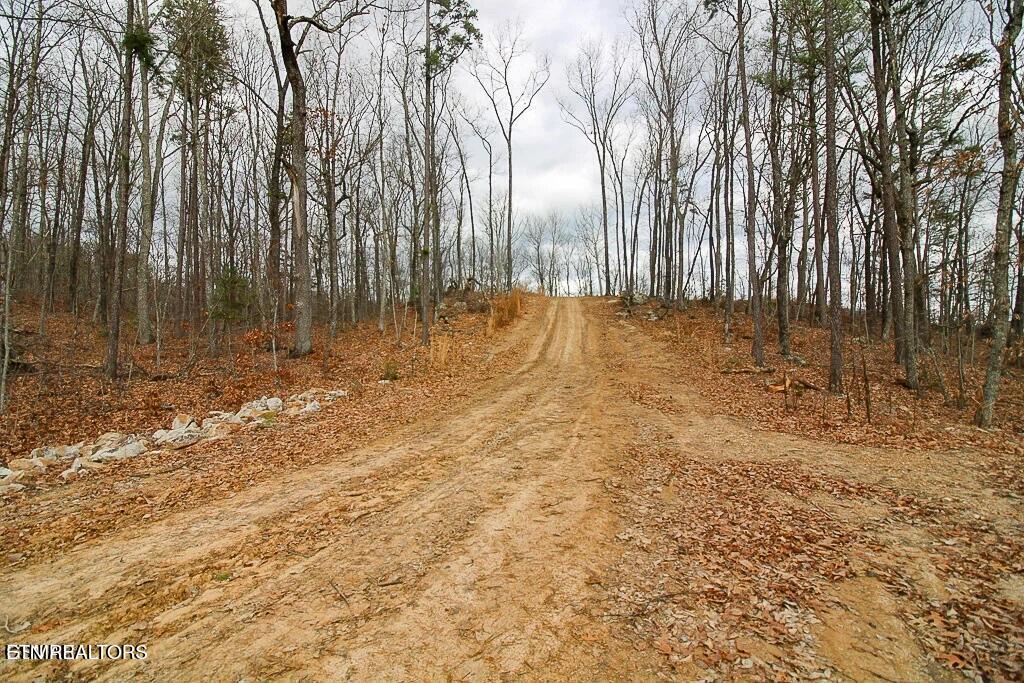 Tract A Mountain Ash Way Sevierville TN 37876