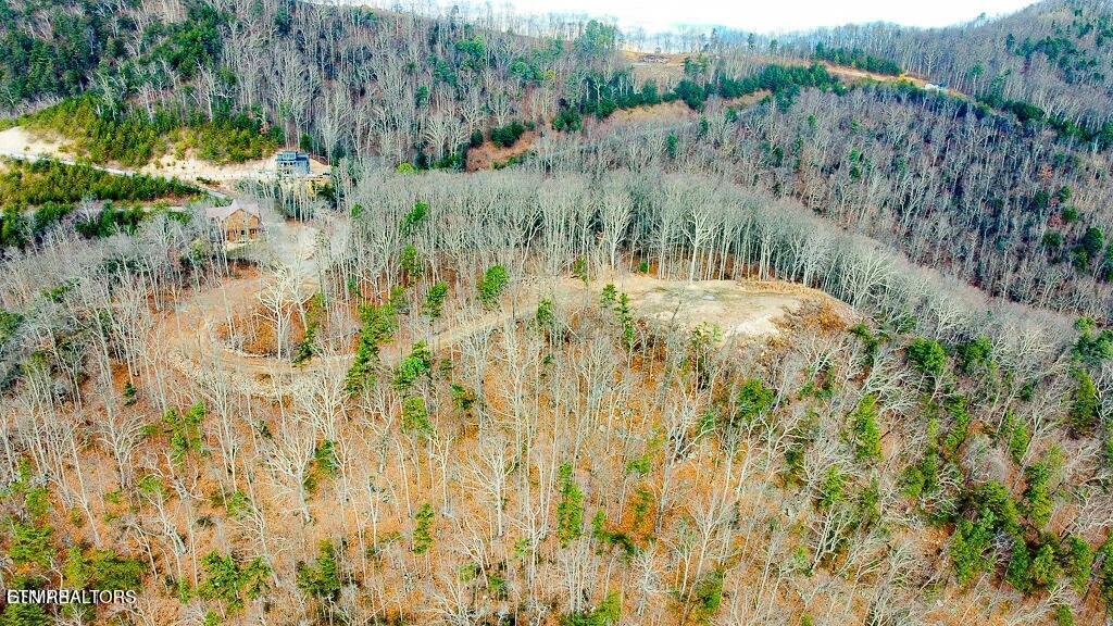 Tract A Mountain Ash Way Sevierville TN 37876