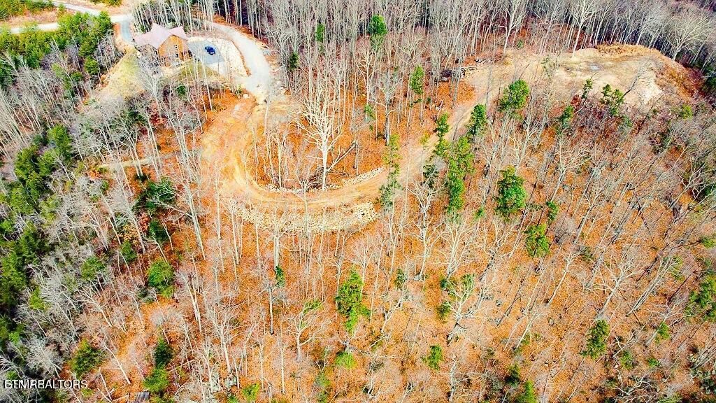 Tract A Mountain Ash Way Sevierville TN 37876