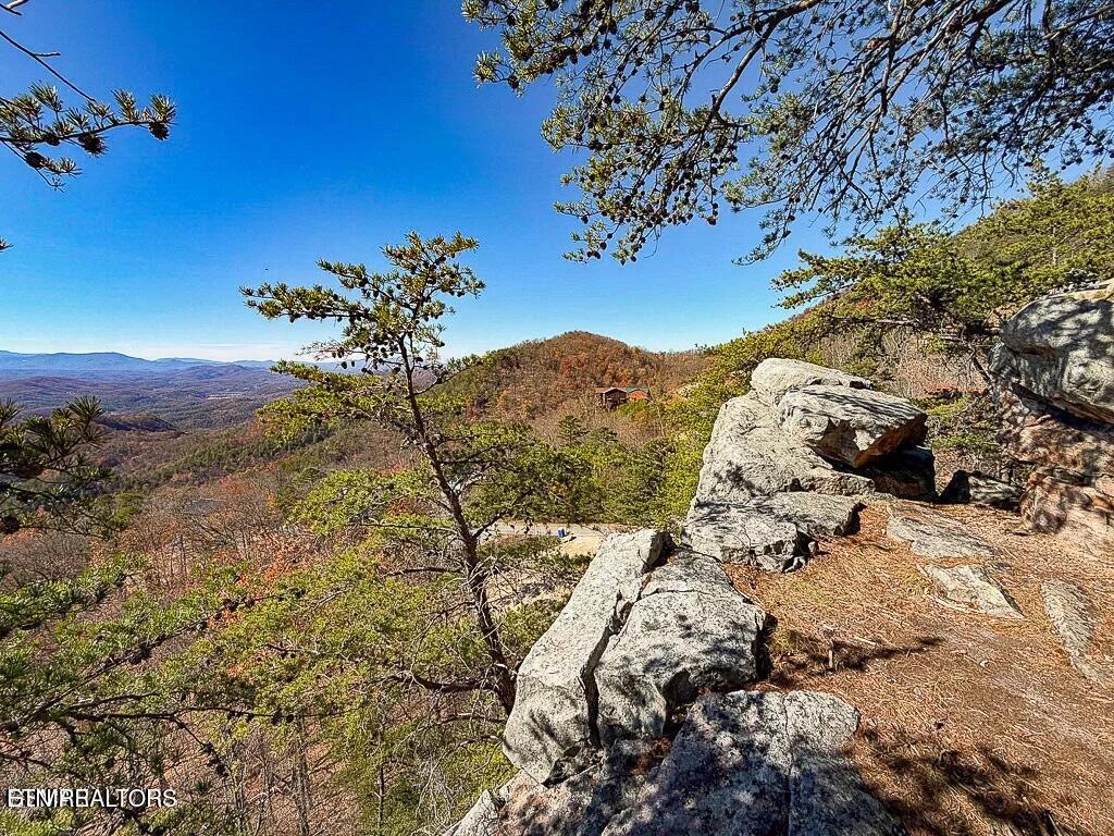 Tract A Mountain Ash Way Sevierville TN 37876