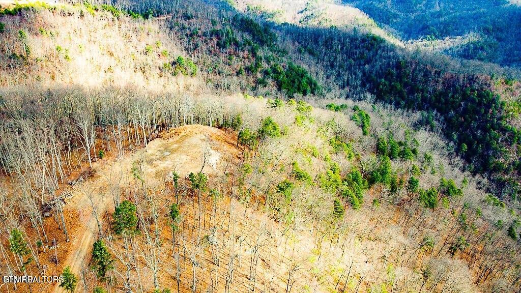 Tract A Mountain Ash Way Sevierville TN 37876