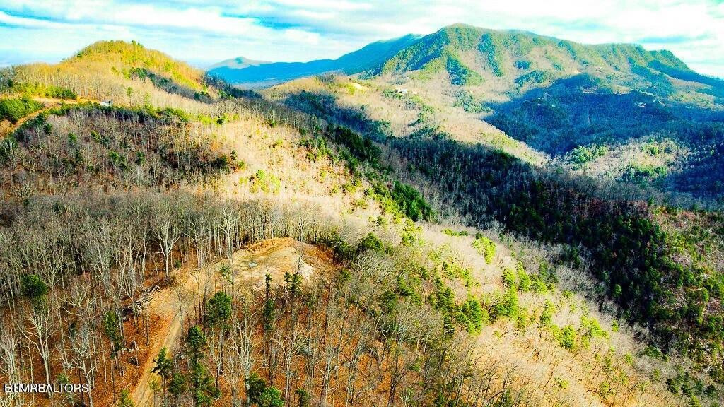 Tract A Mountain Ash Way Sevierville TN 37876