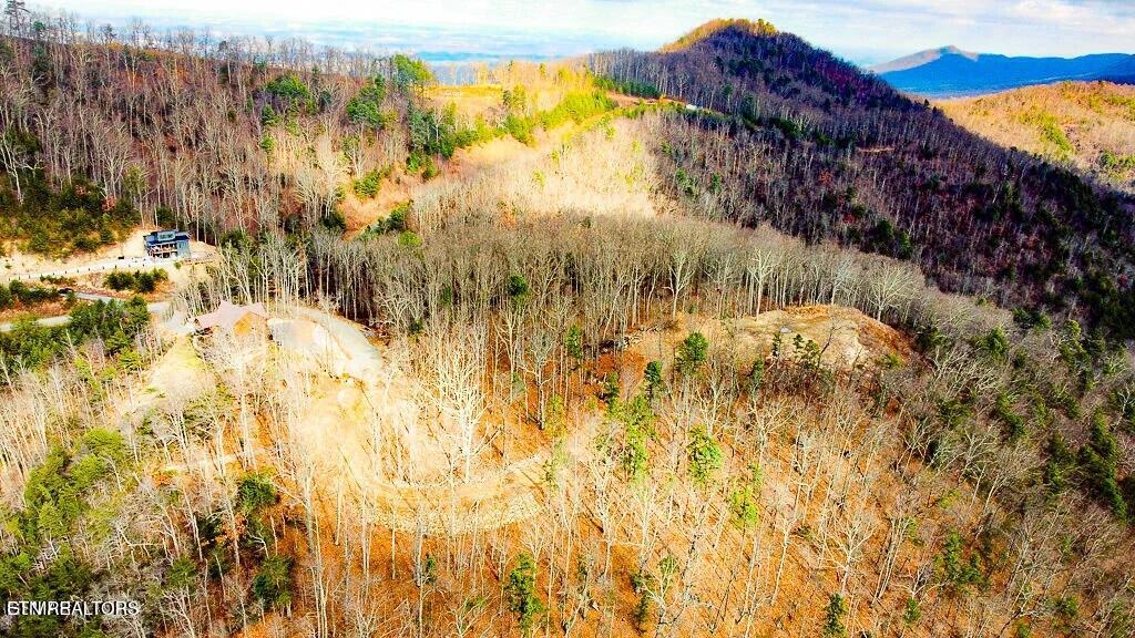 Tract A Mountain Ash Way Sevierville TN 37876