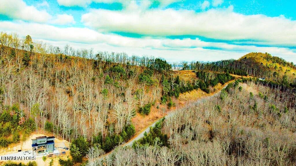 Tract A Mountain Ash Way Sevierville TN 37876