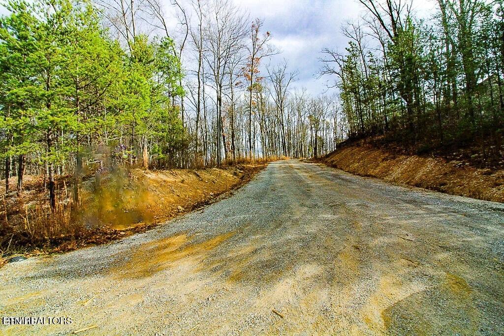 Tract A Mountain Ash Way Sevierville TN 37876