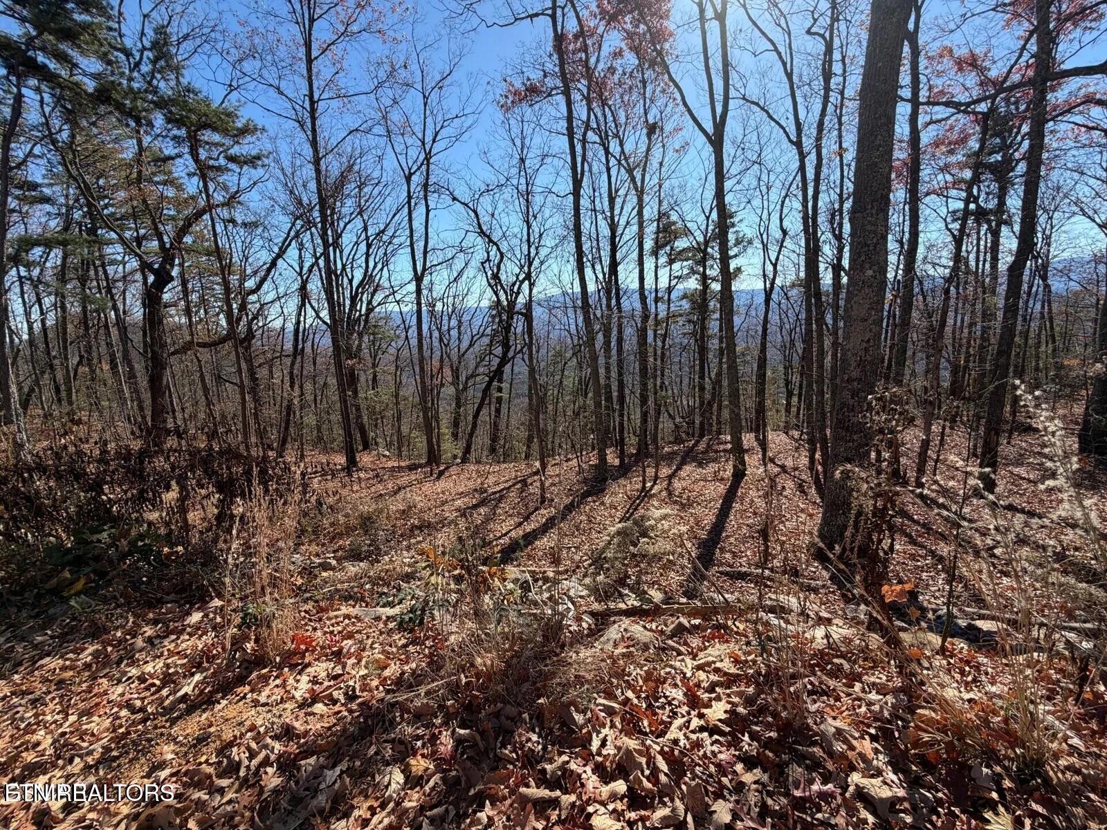 Tract A Mountain Ash Way Sevierville TN 37876