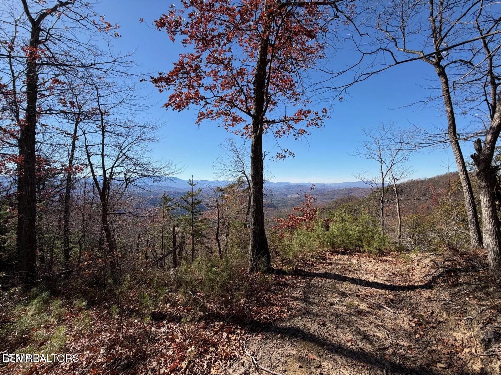 Tract A Mountain Ash Way Sevierville TN 37876