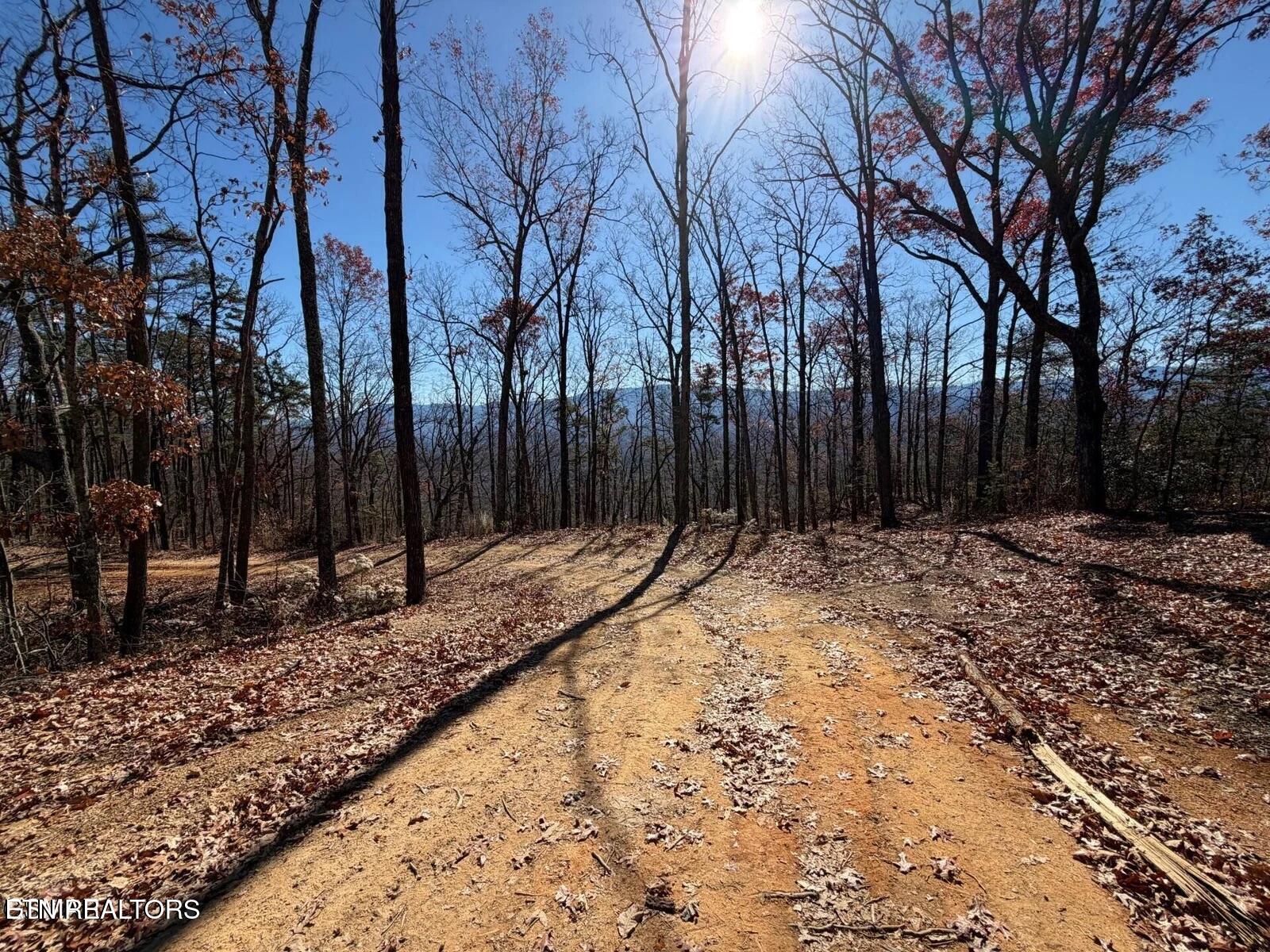 Tract A Mountain Ash Way Sevierville TN 37876