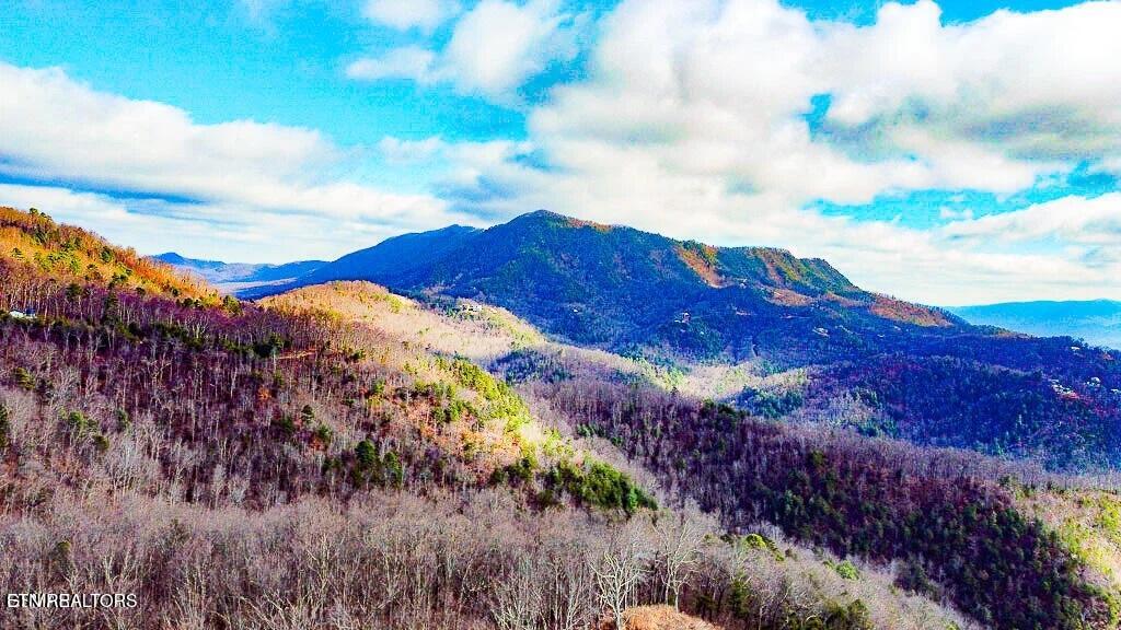 Tract A Mountain Ash Way Sevierville TN 37876