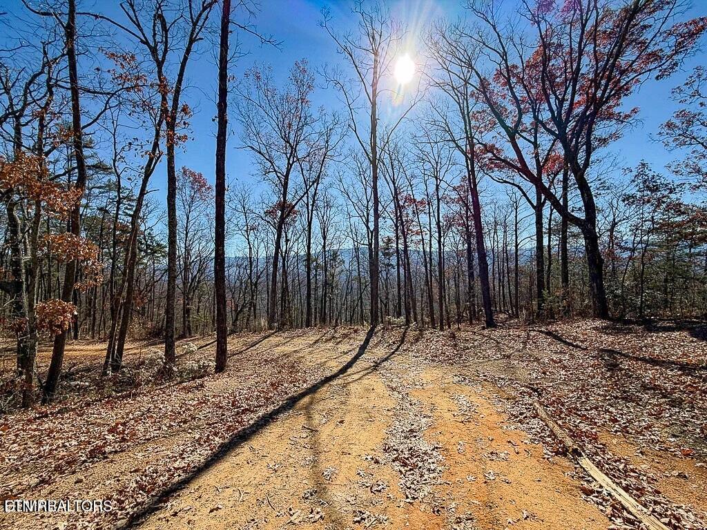 Tract A Mountain Ash Way Sevierville TN 37876