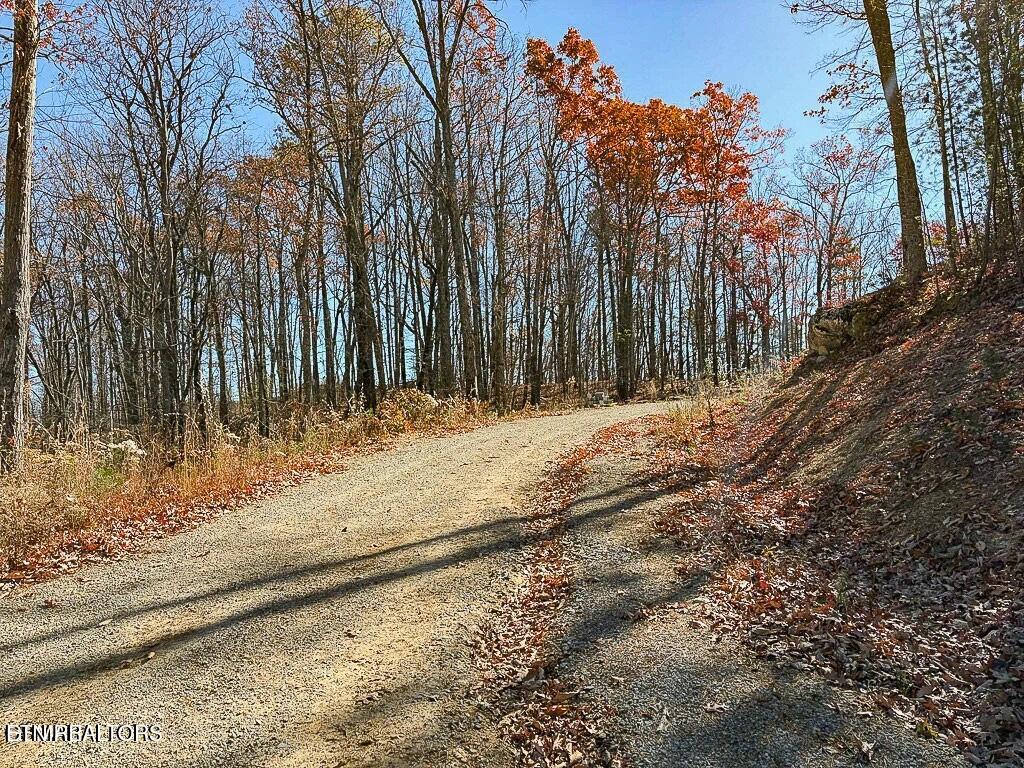 Tract A Mountain Ash Way Sevierville TN 37876