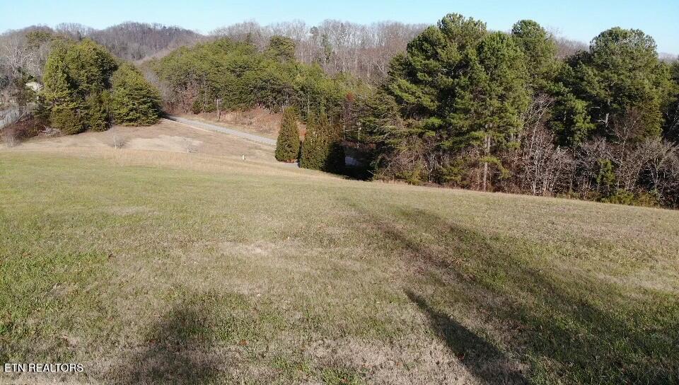 160 Pointe Summit Drive Greenback TN 37742