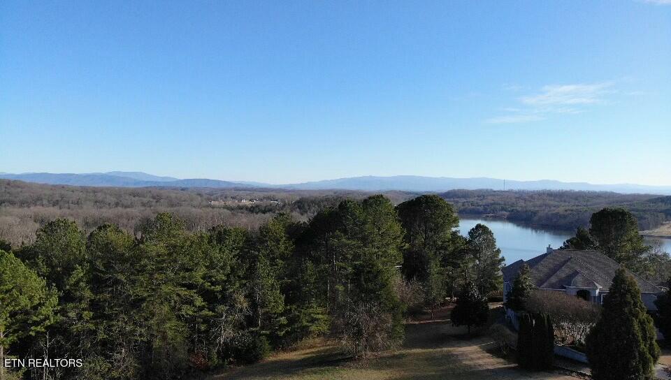 160 Pointe Summit Drive Greenback TN 37742