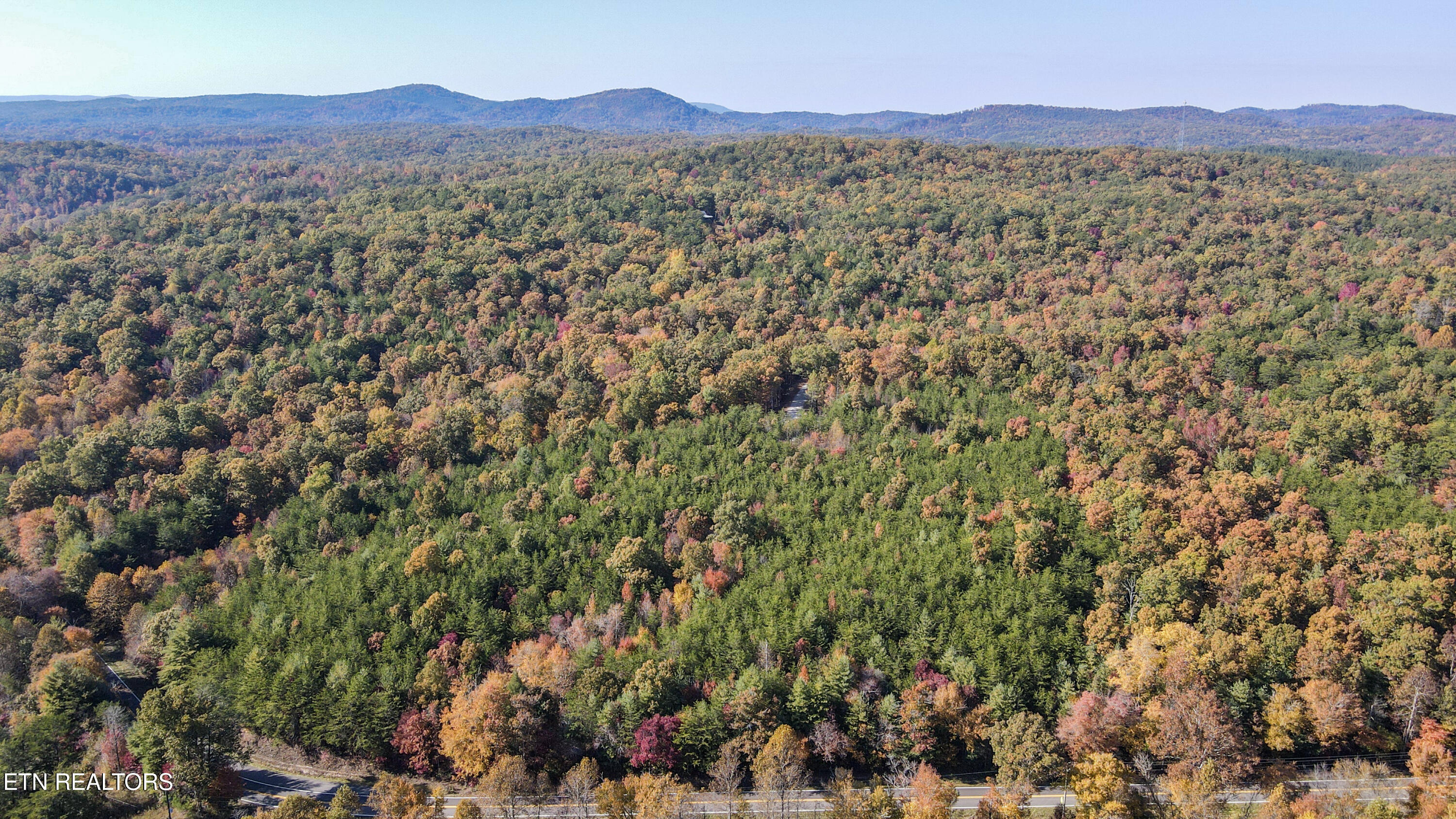 101 Cherokee Path Tellico Plains TN 37385
