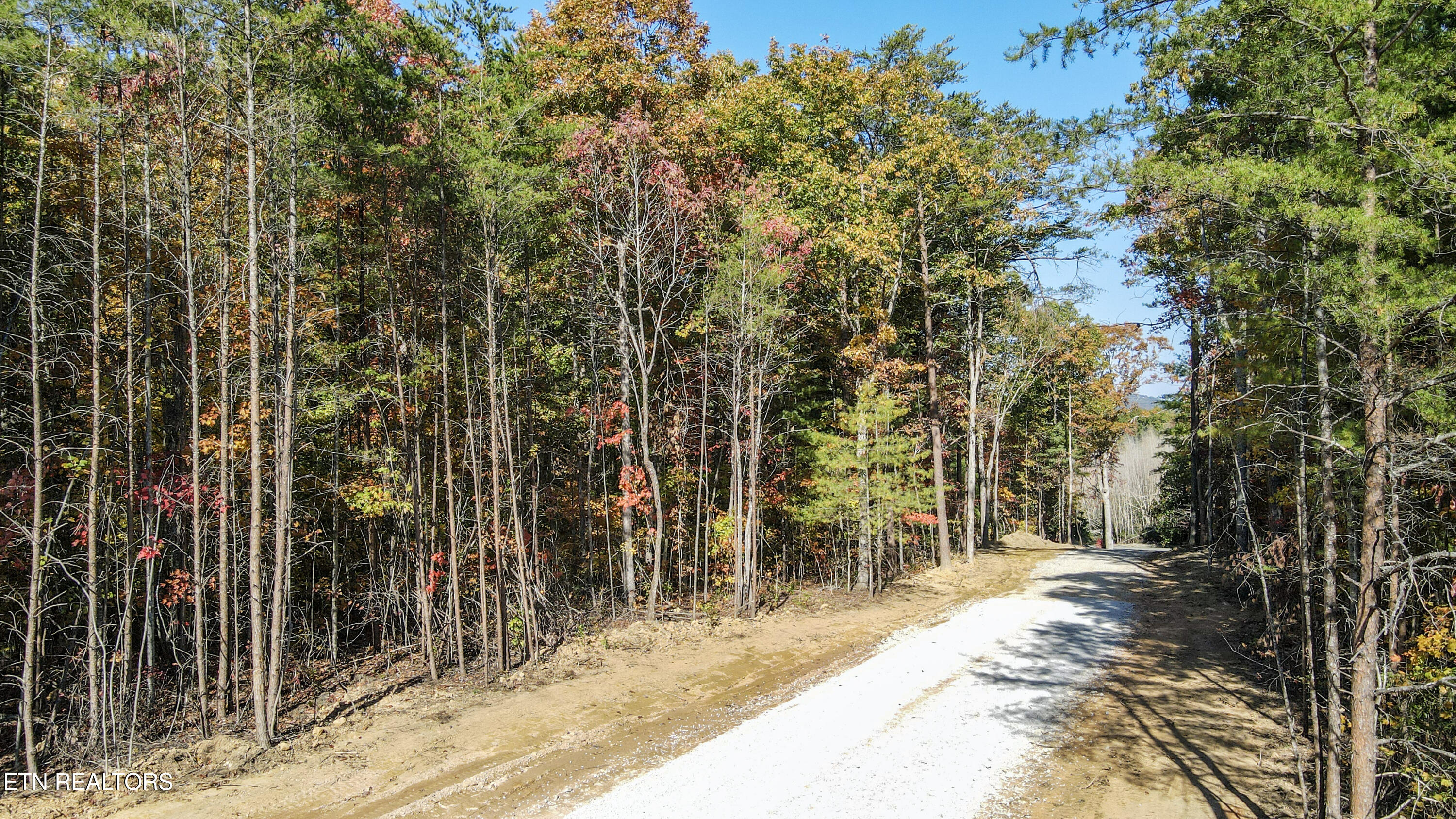 101 Cherokee Path Tellico Plains TN 37385