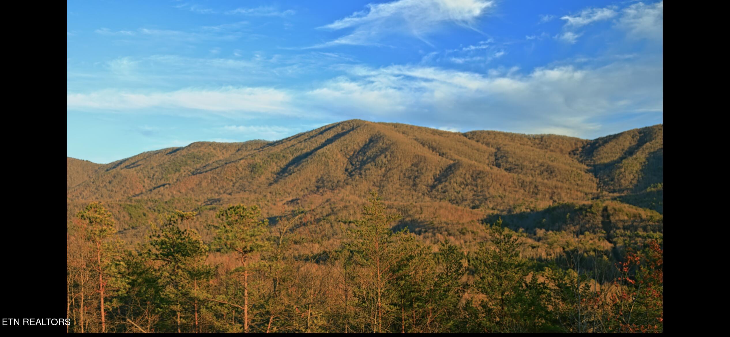 101 Cherokee Path Tellico Plains TN 37385