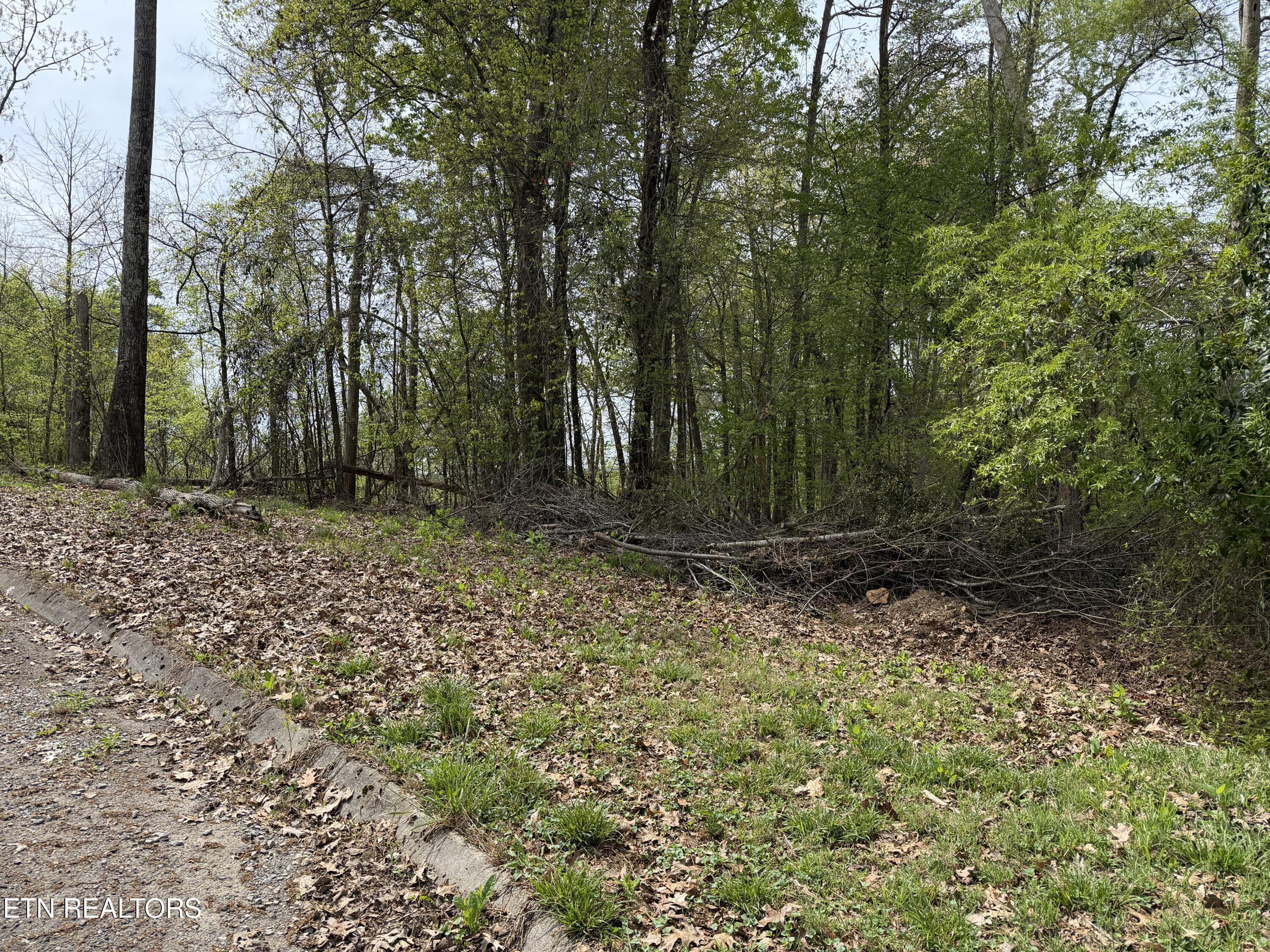 John Spears Way Sevierville TN 37876