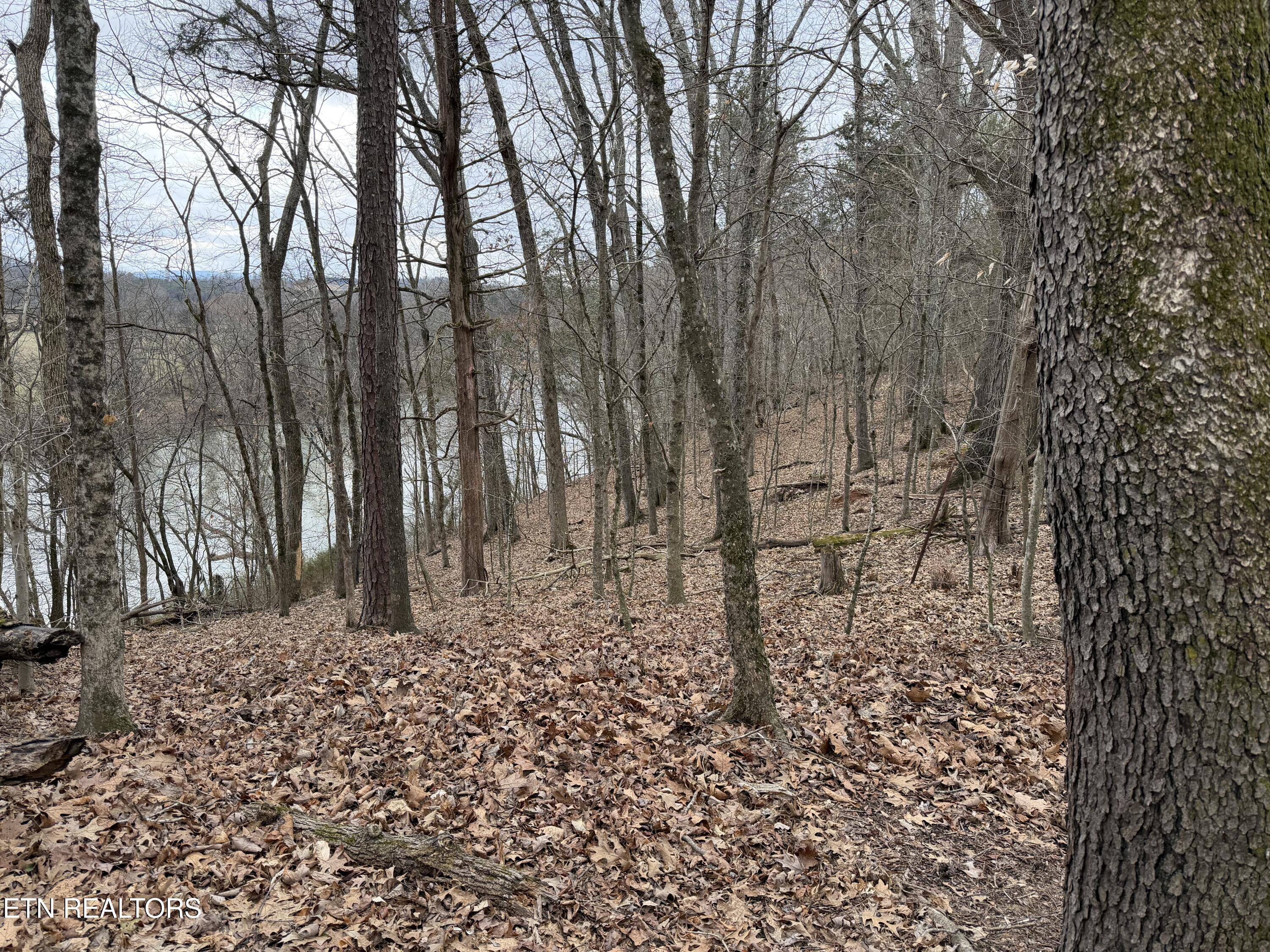 John Spears Way Sevierville TN 37876