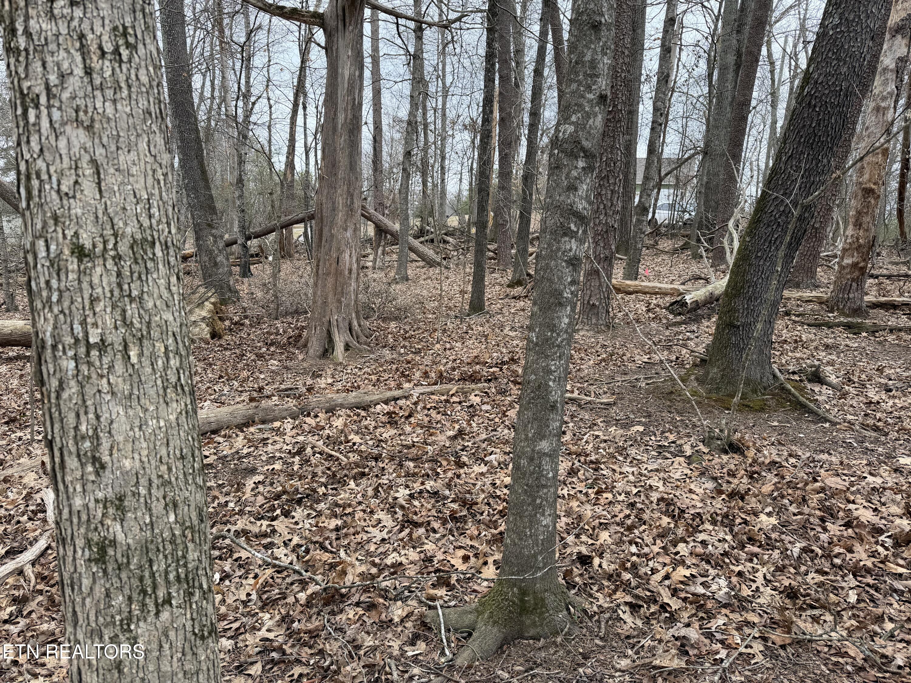 John Spears Way Sevierville TN 37876