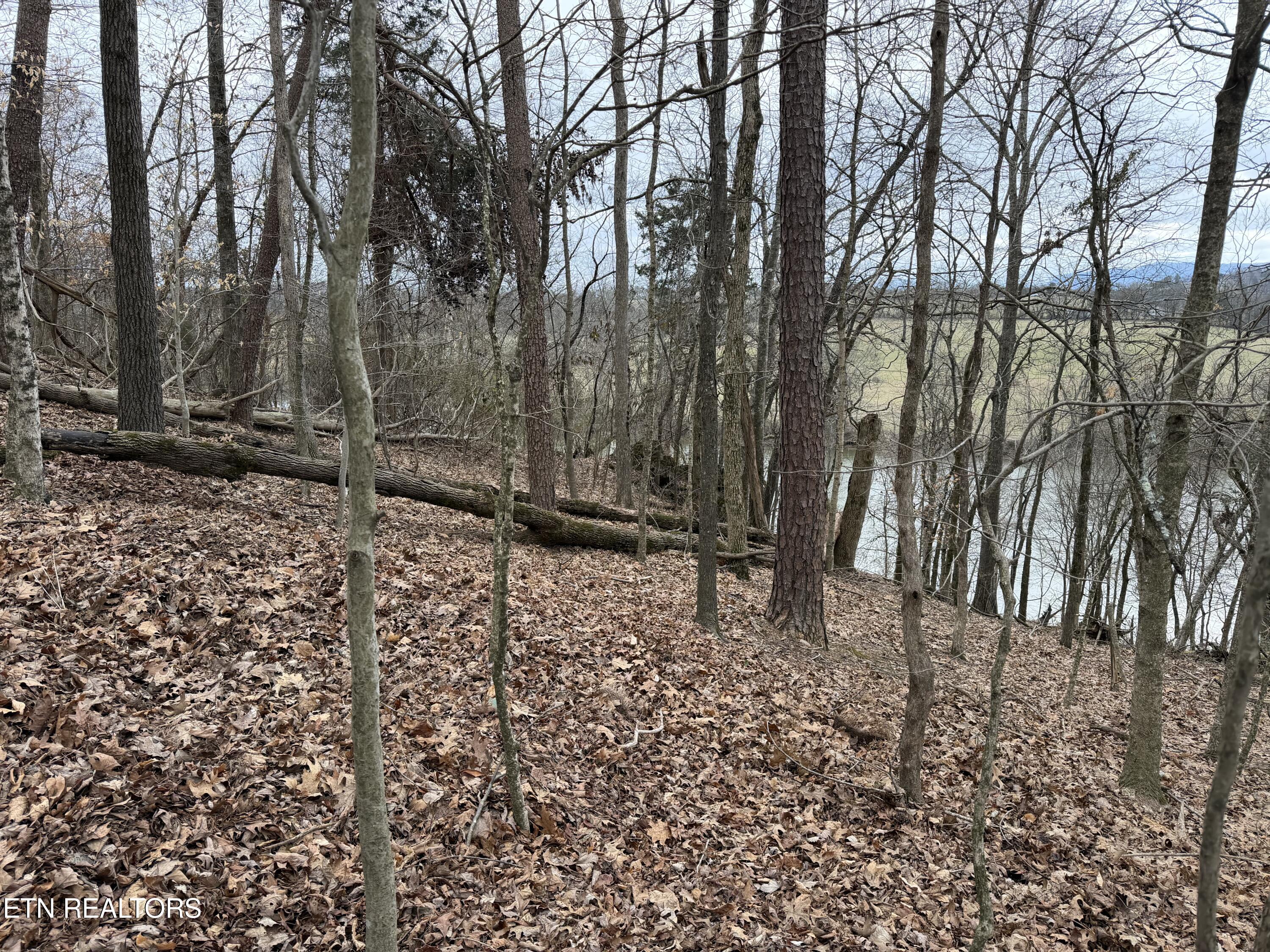 John Spears Way Sevierville TN 37876