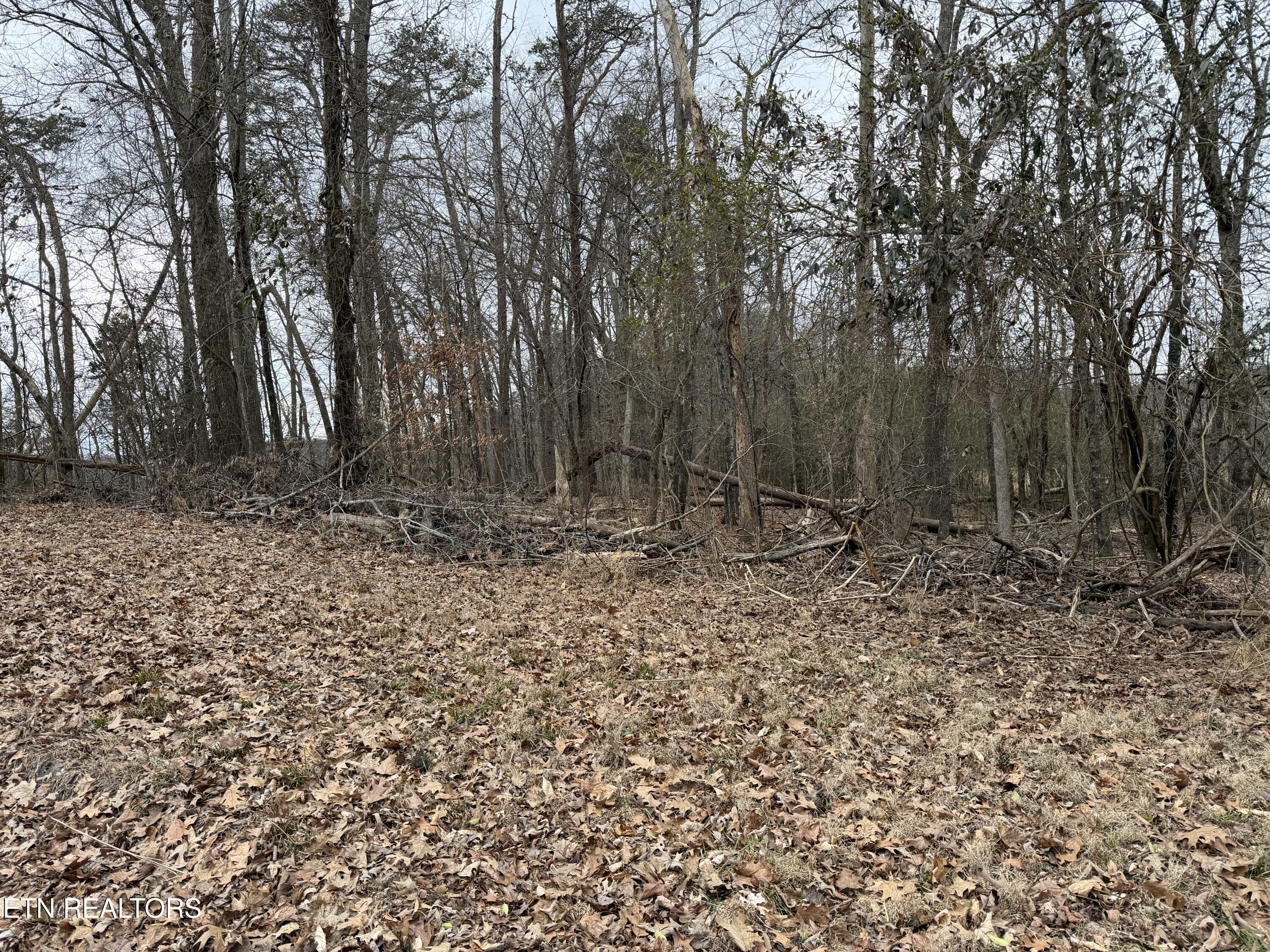 John Spears Way Sevierville TN 37876