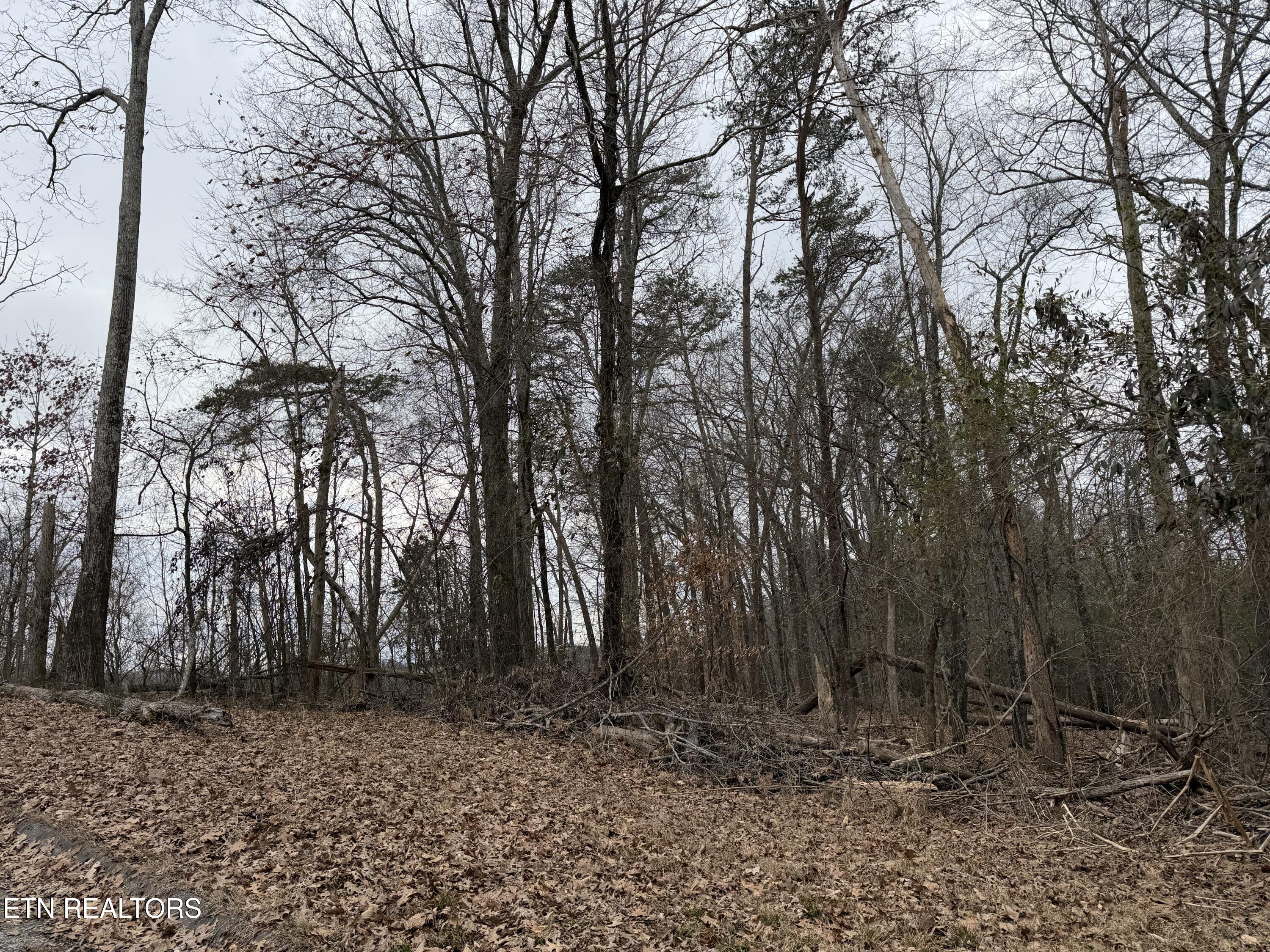 John Spears Way Sevierville TN 37876