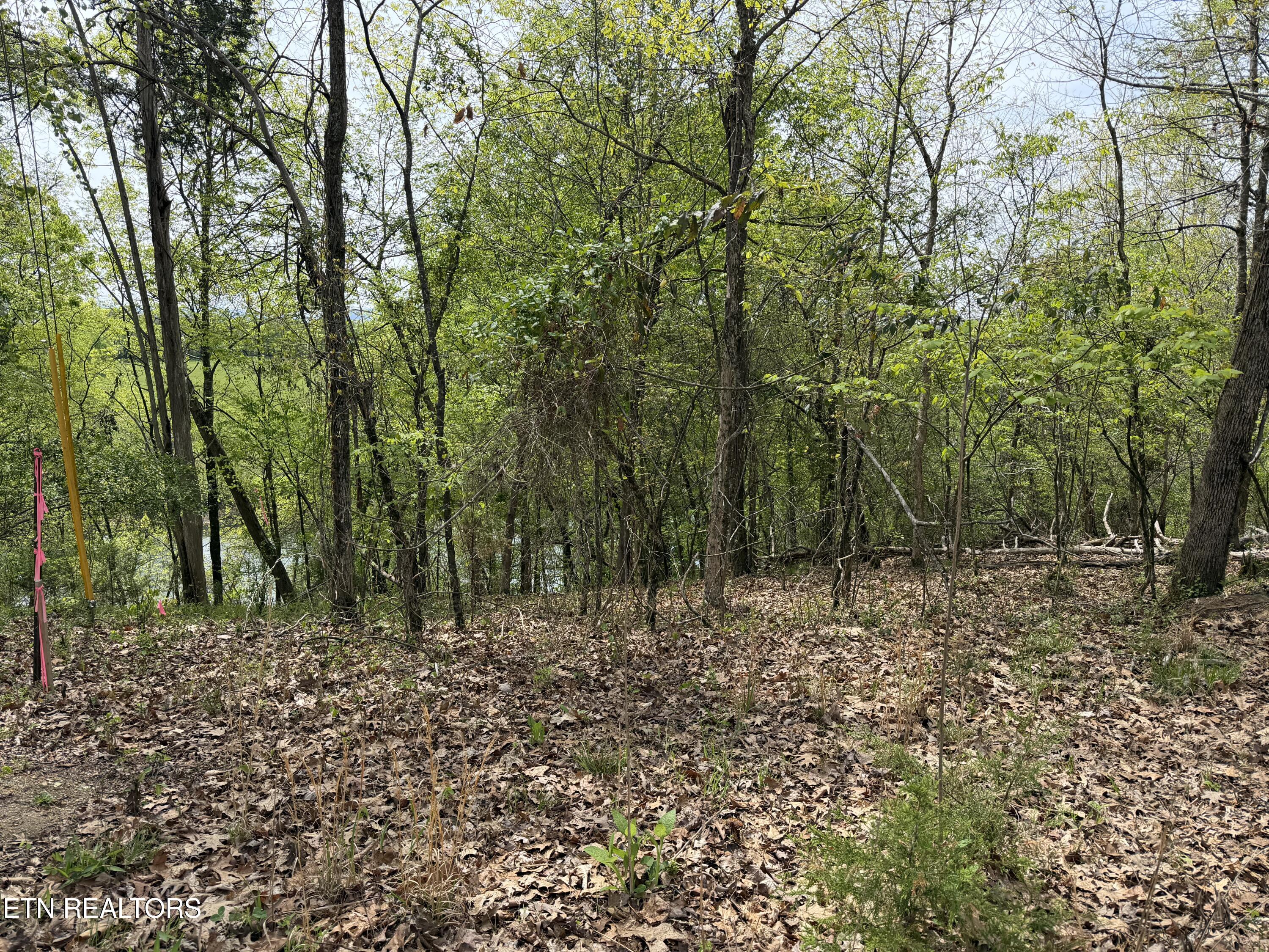 John Spears Way Sevierville TN 37876
