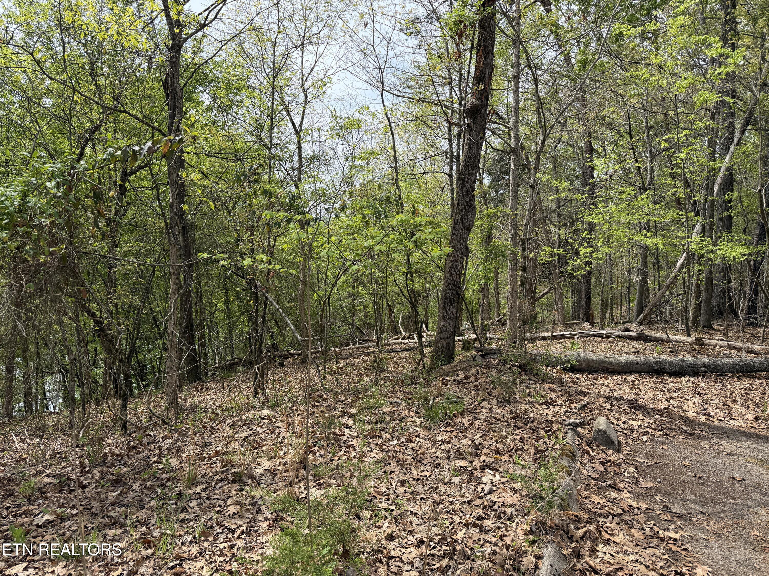 John Spears Way Sevierville TN 37876