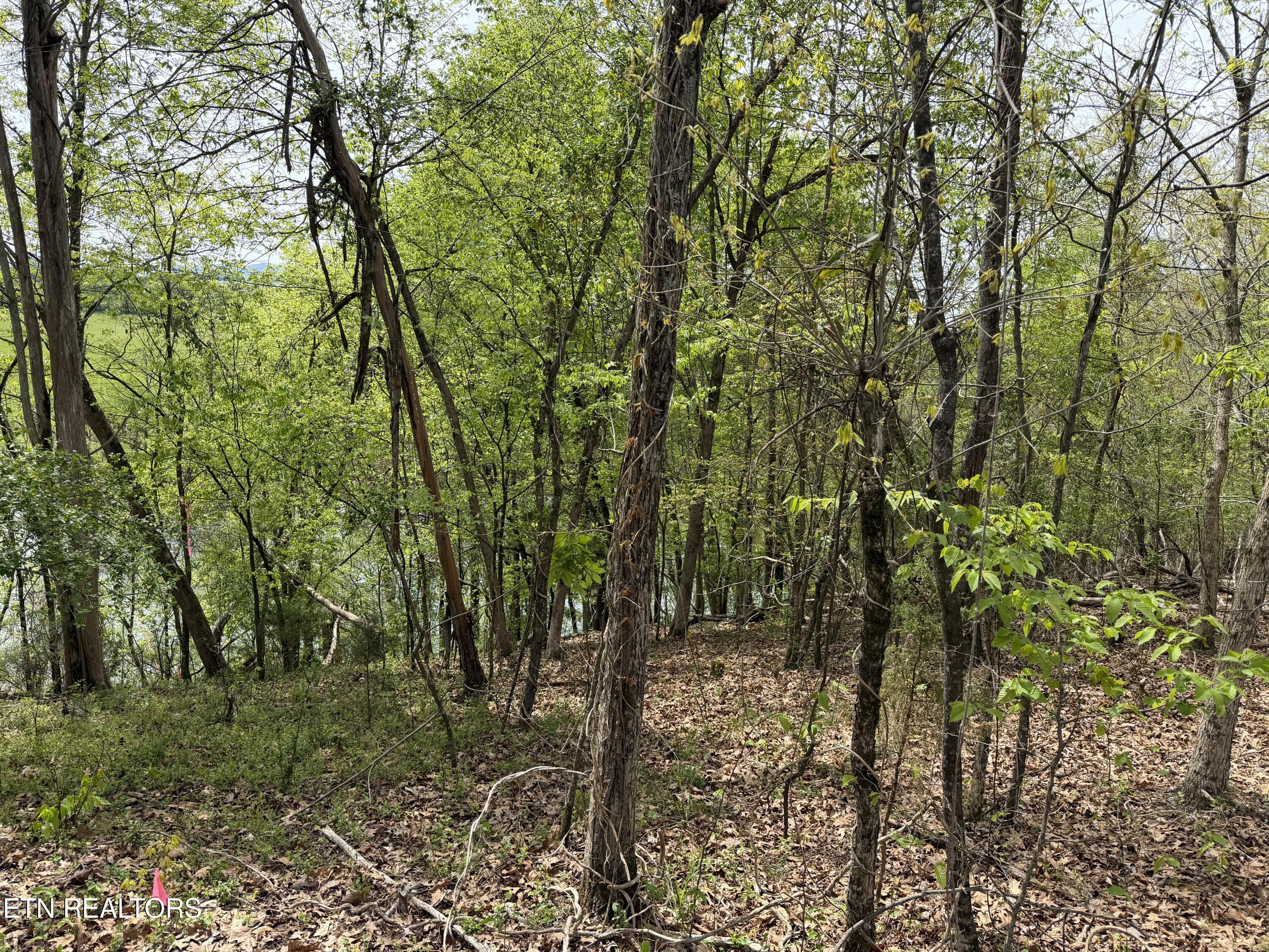 John Spears Way Sevierville TN 37876
