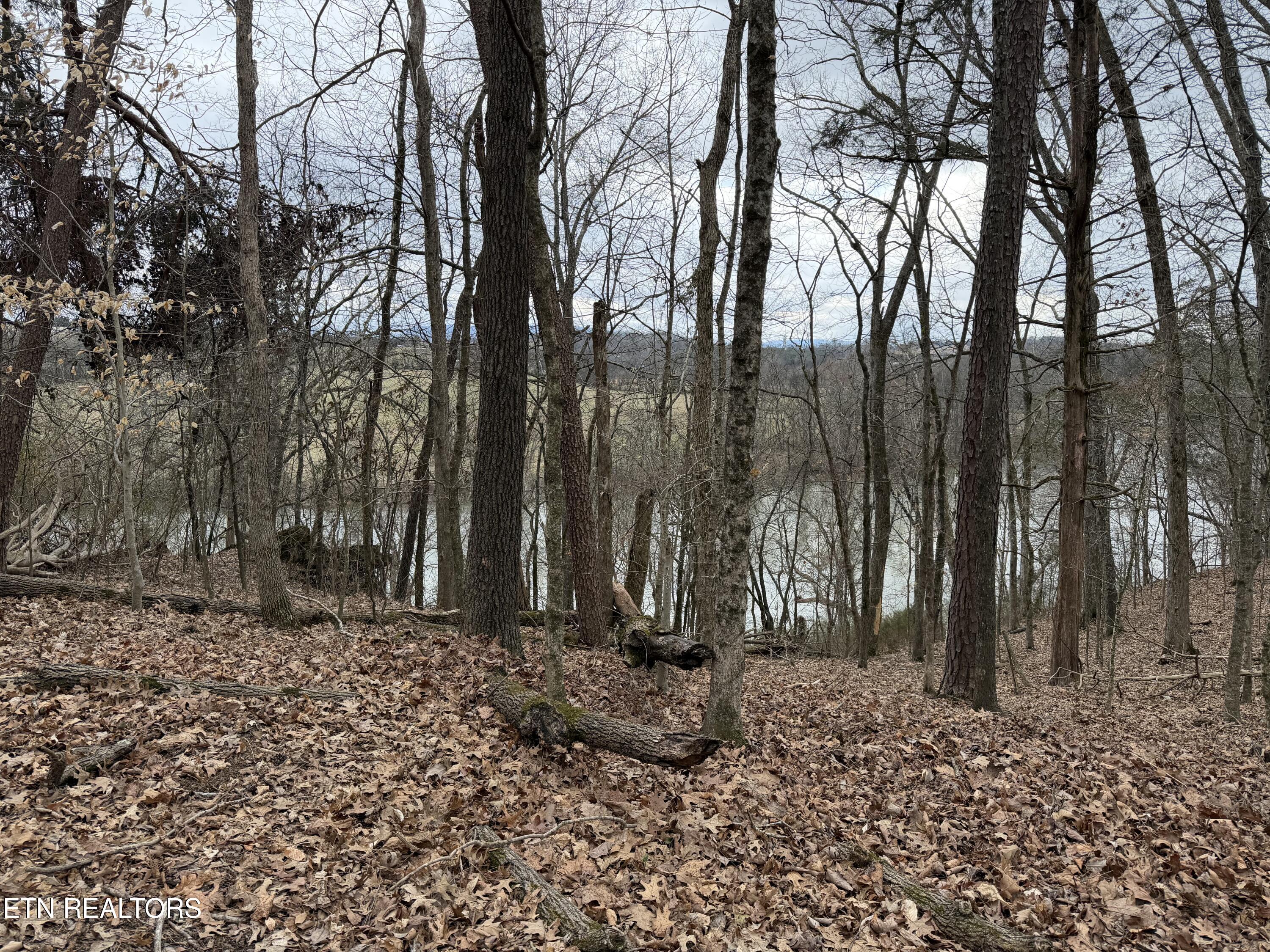 John Spears Way Sevierville TN 37876