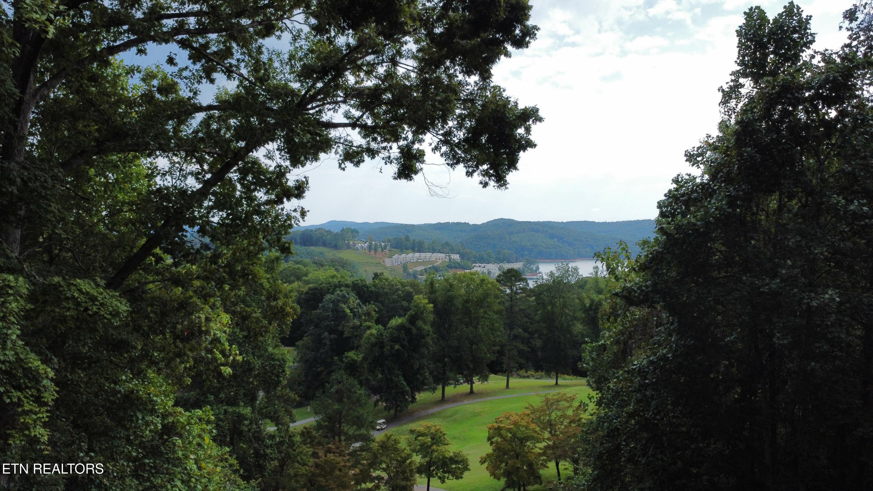 Par View Lane Lafollette TN 37766
