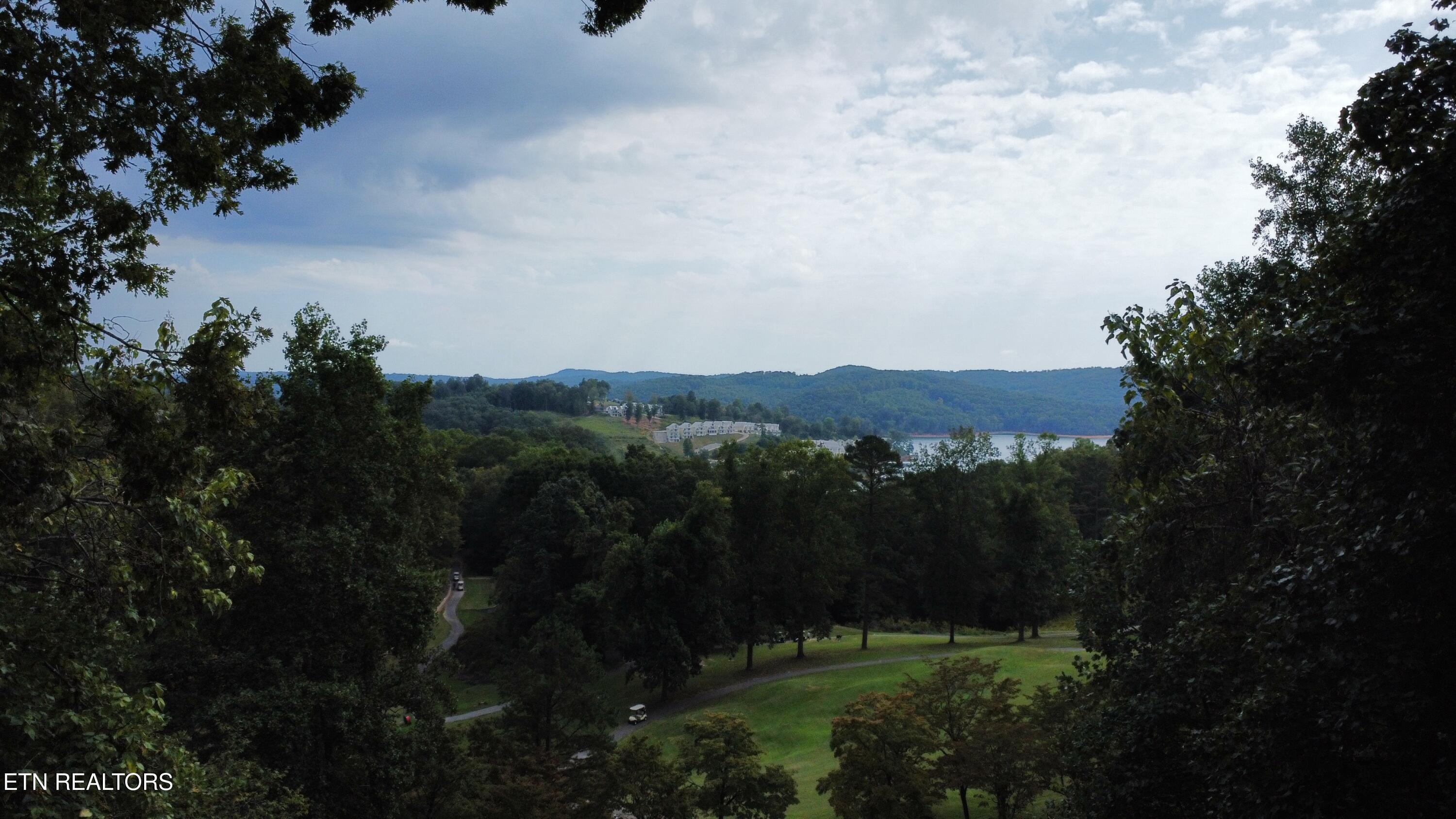 Par View Lane Lafollette TN 37766