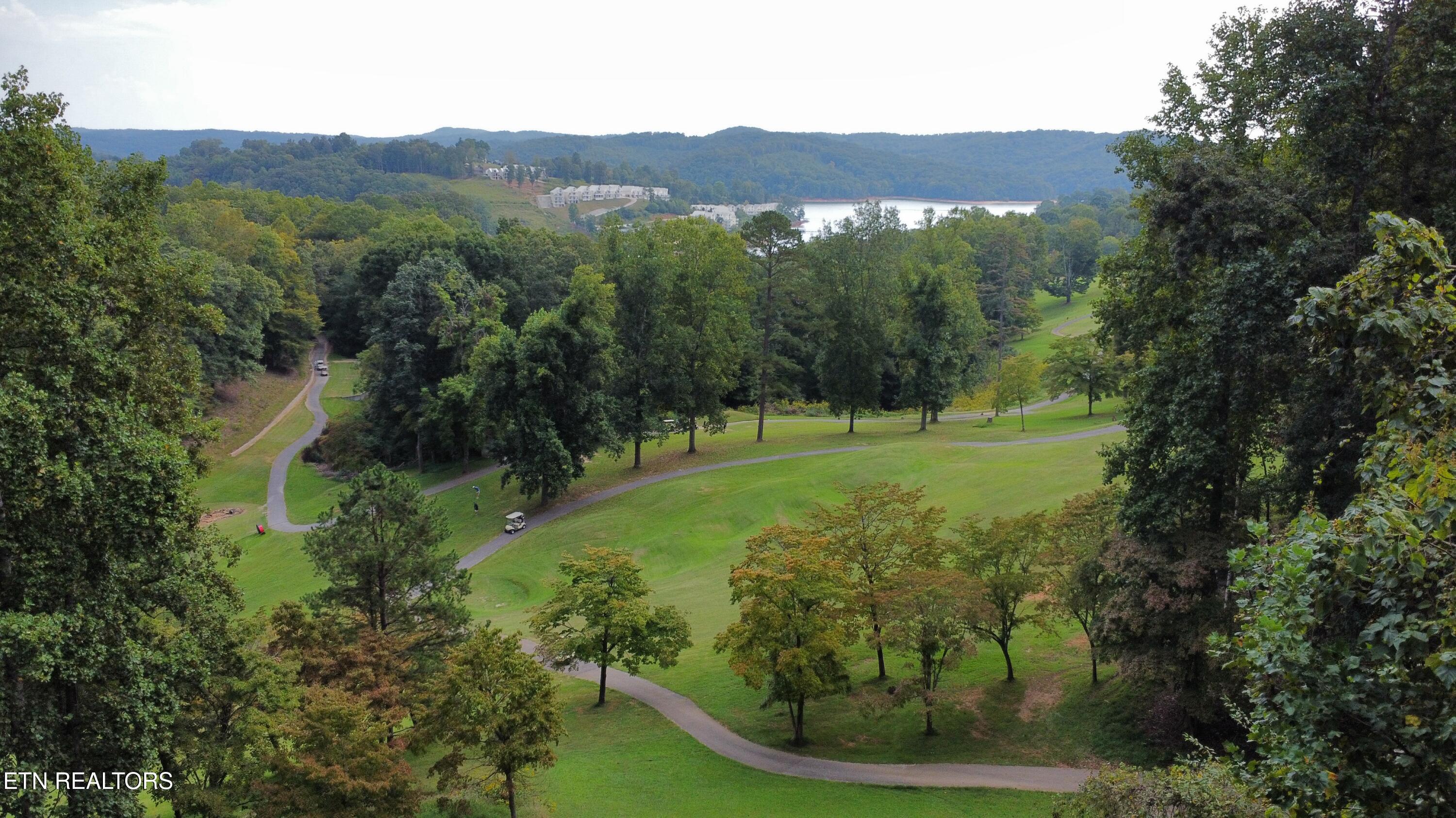 Par View Lane Lafollette TN 37766