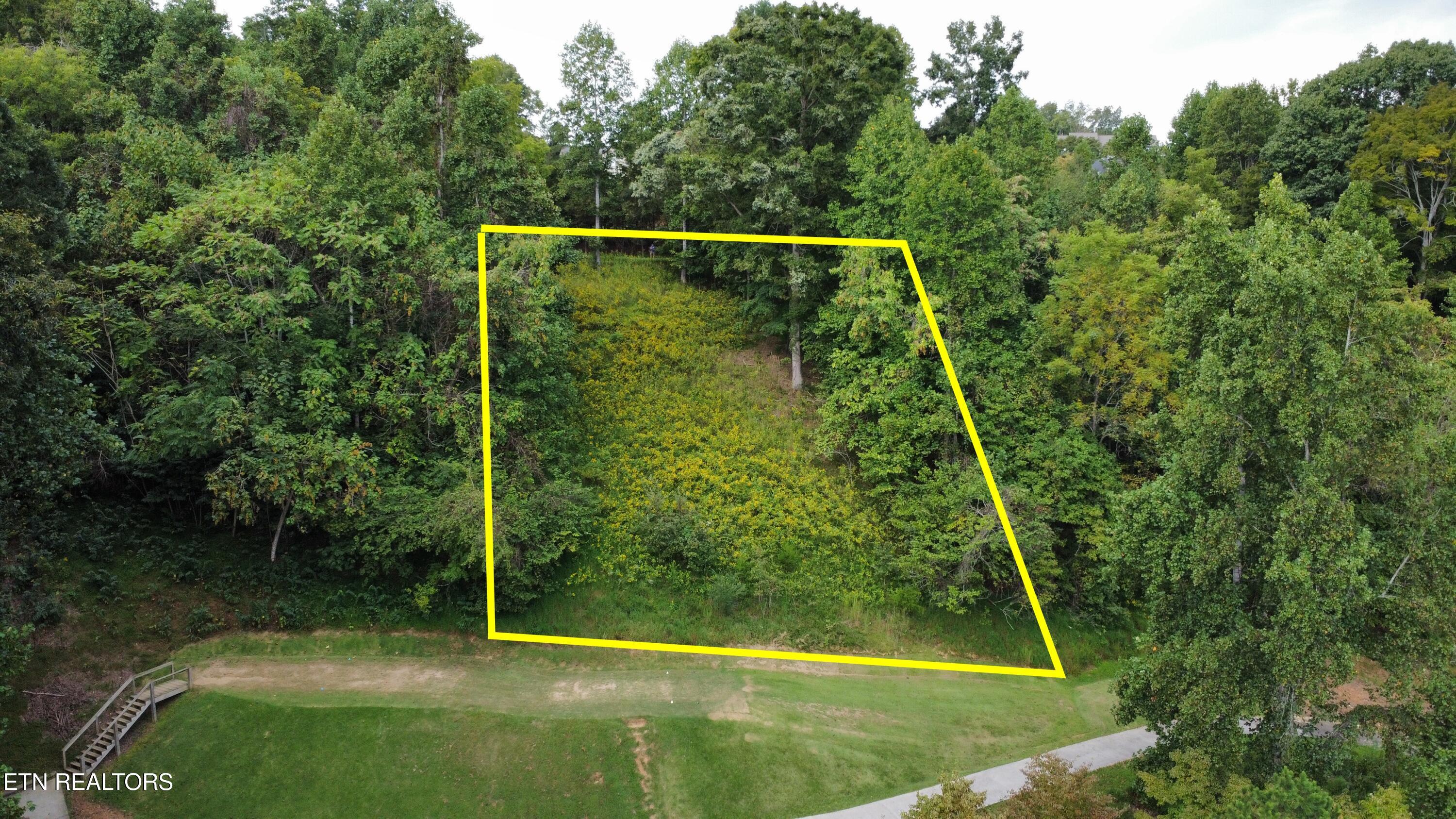 Par View Lane Lafollette TN 37766