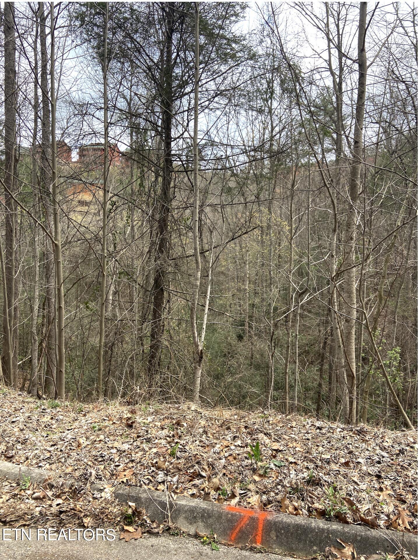 Lot 71 Smoky Ridge Way Sevierville TN 37862
