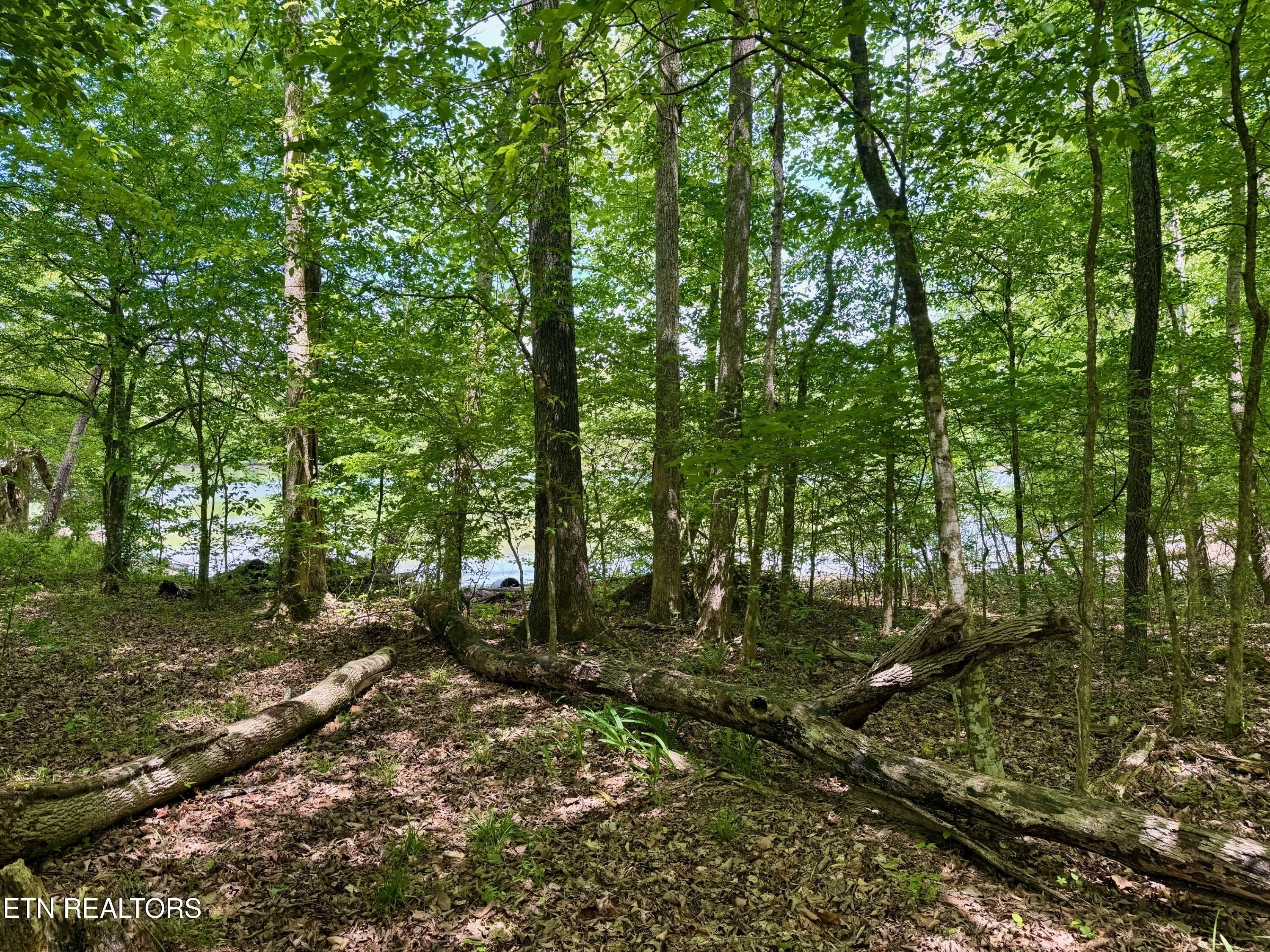 Lot 2 Eagle Ridge Road Kingston TN 37763