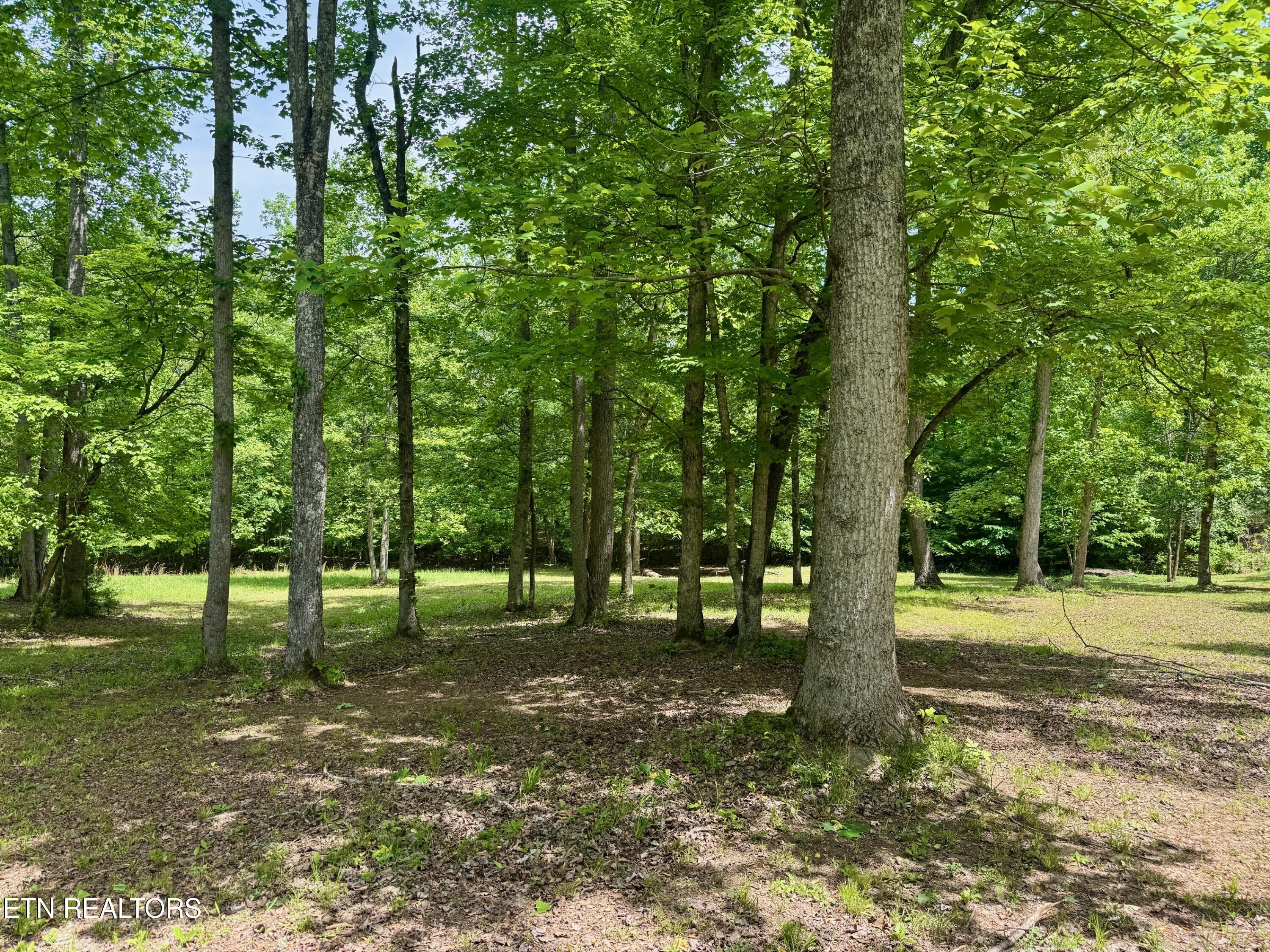 Lot 2 Eagle Ridge Road Kingston TN 37763