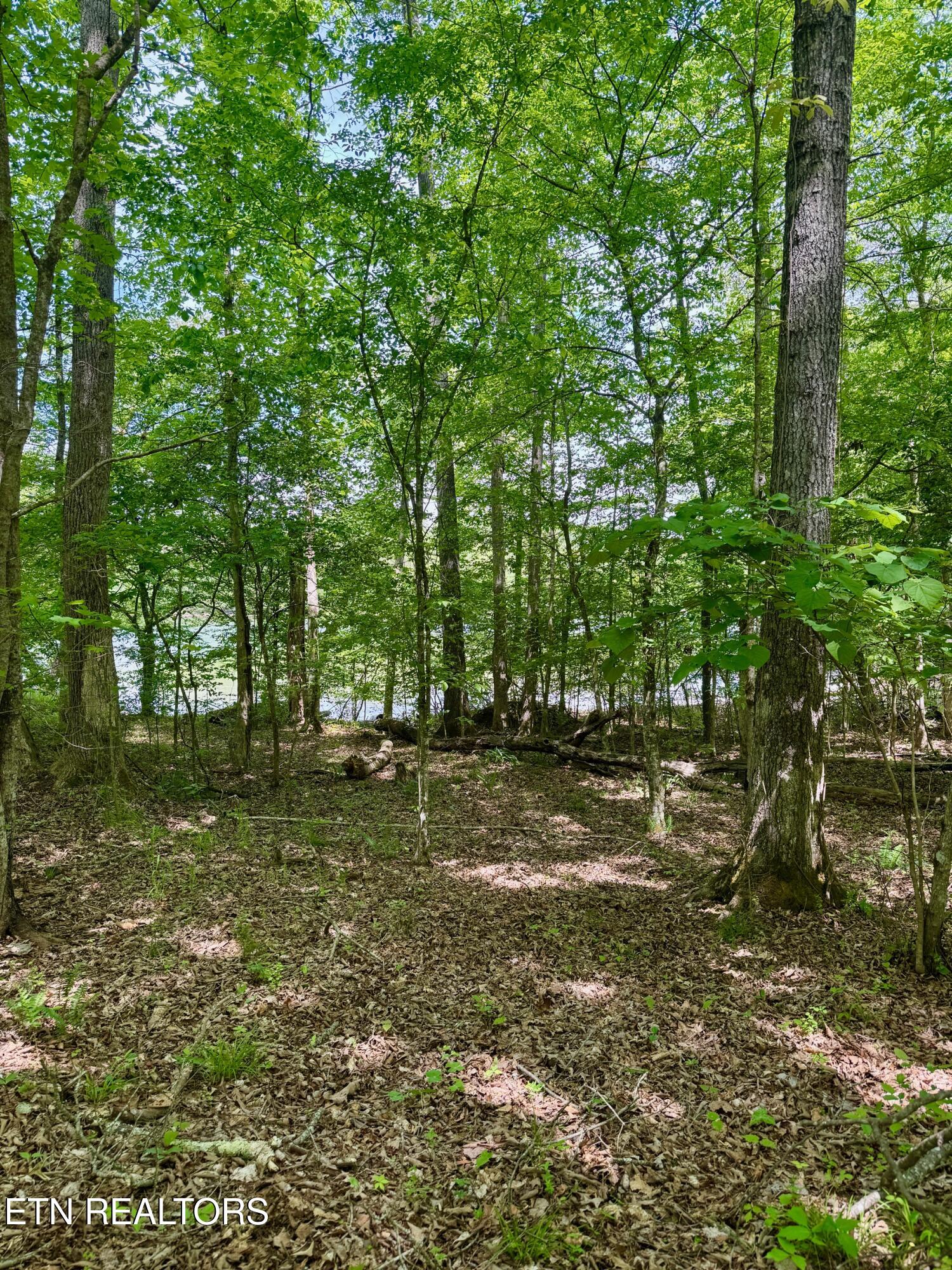 Lot 2 Eagle Ridge Road Kingston TN 37763