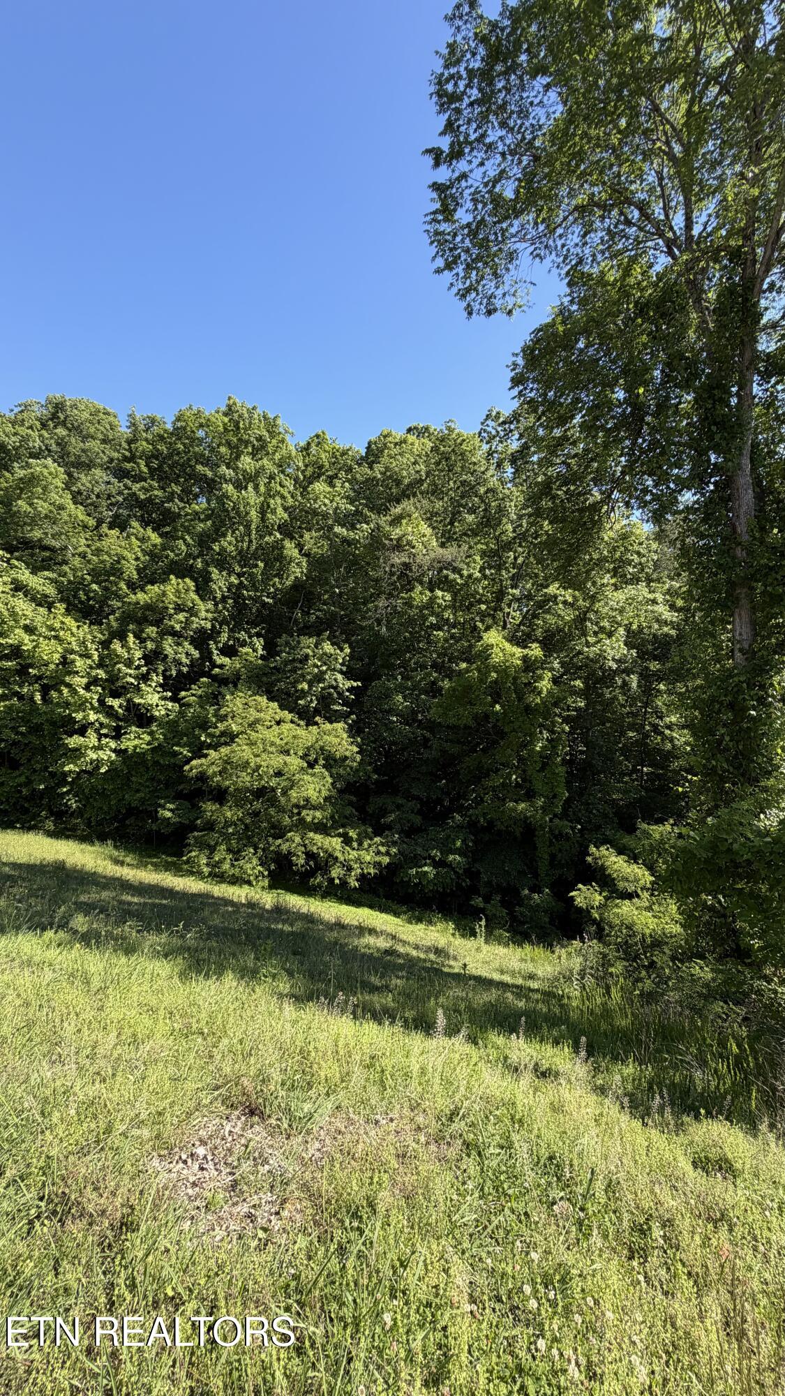 6300 Coves Edge Trail Russellville TN 37860